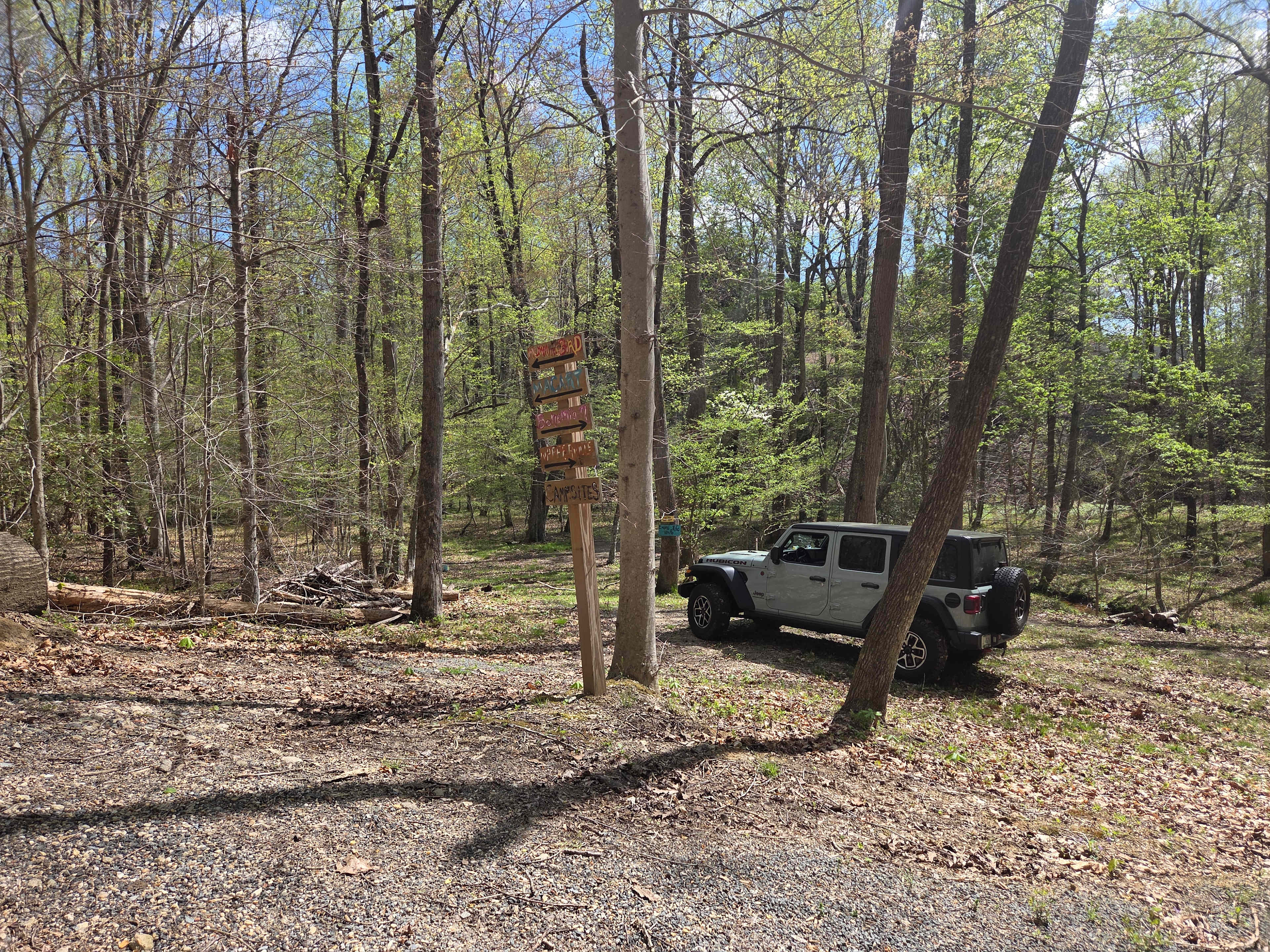 Picture of the site