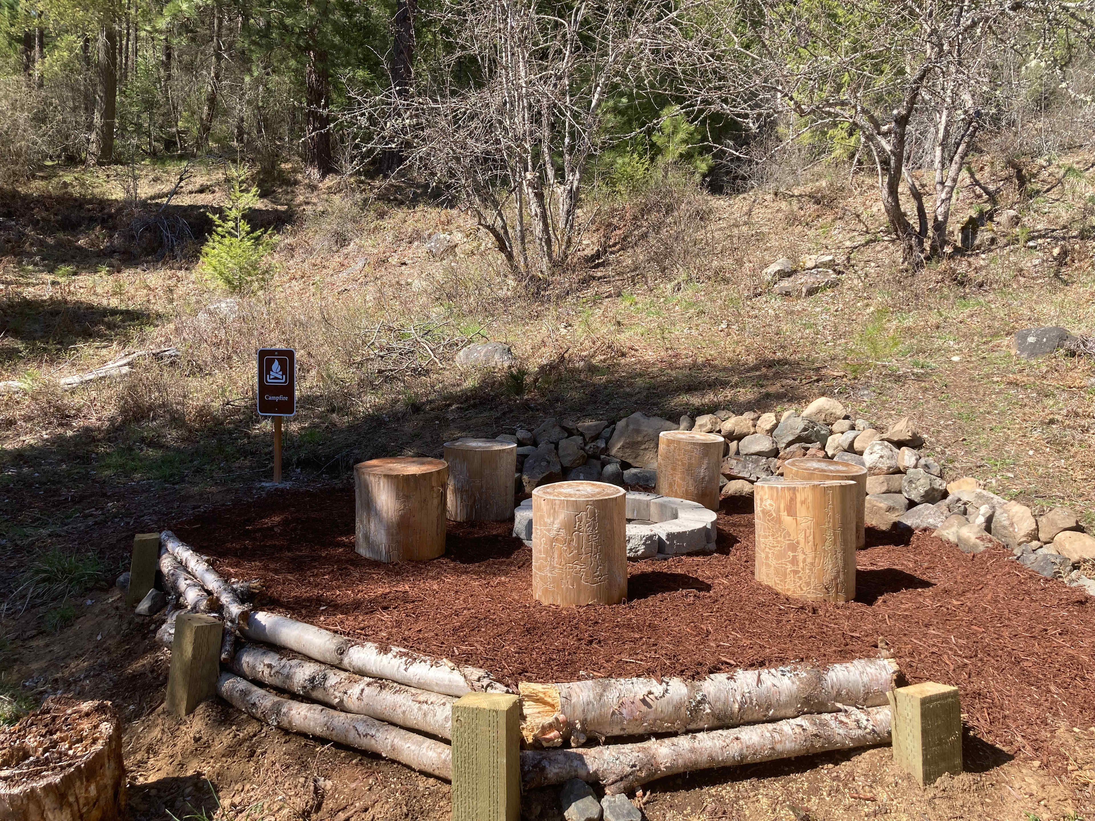 Picture of the site