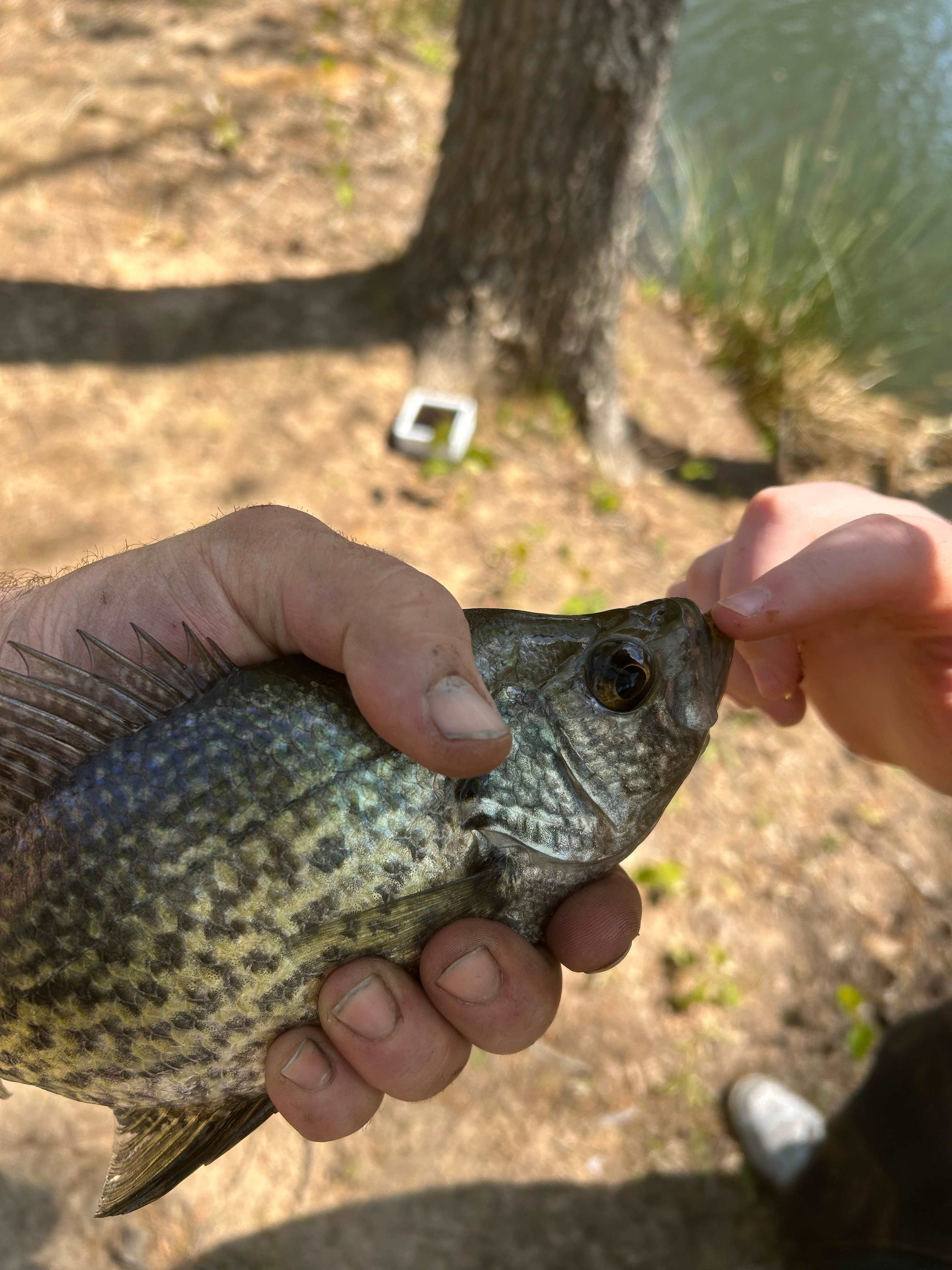 Great fishing