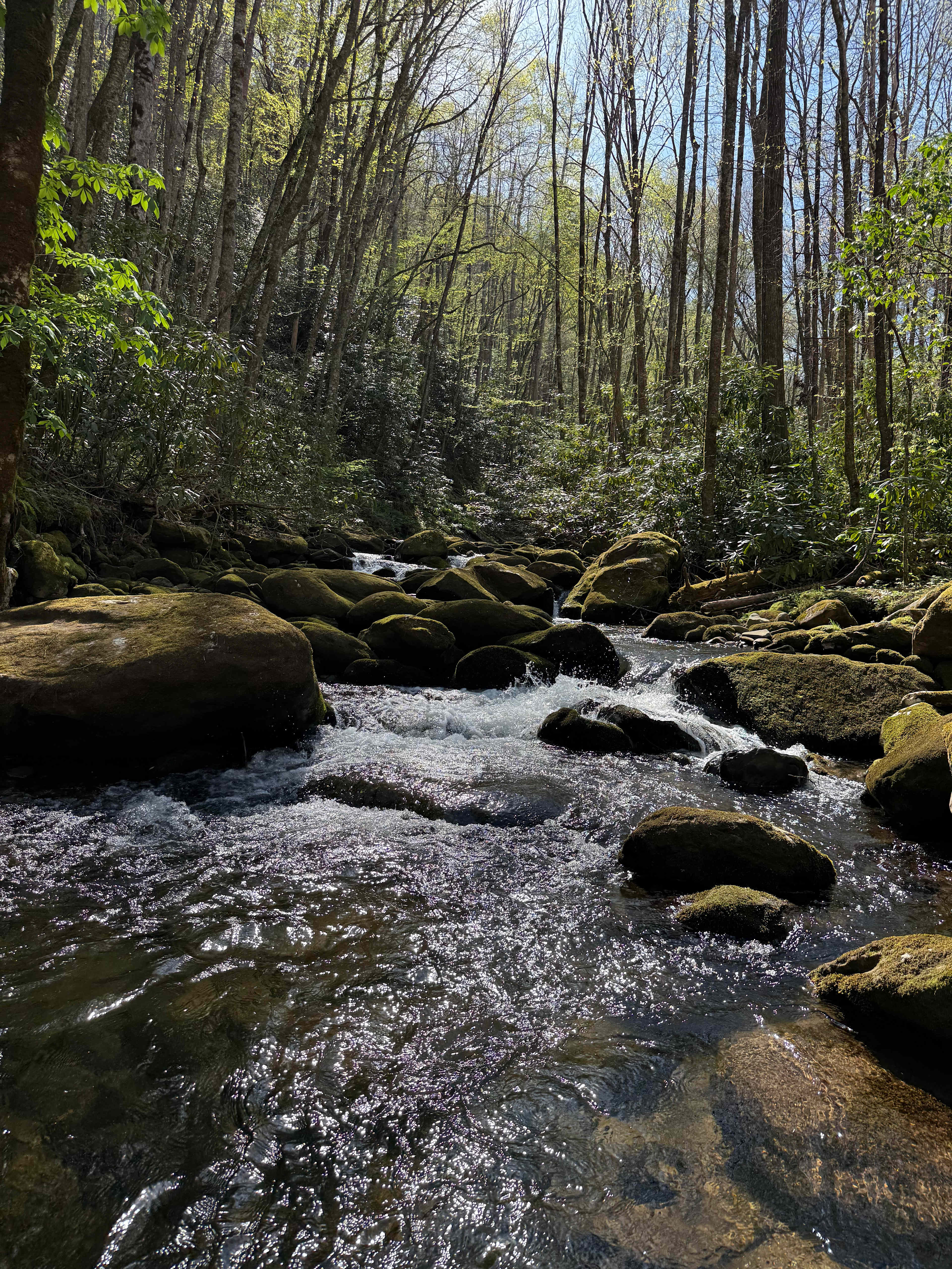 Mountain Creek Rest