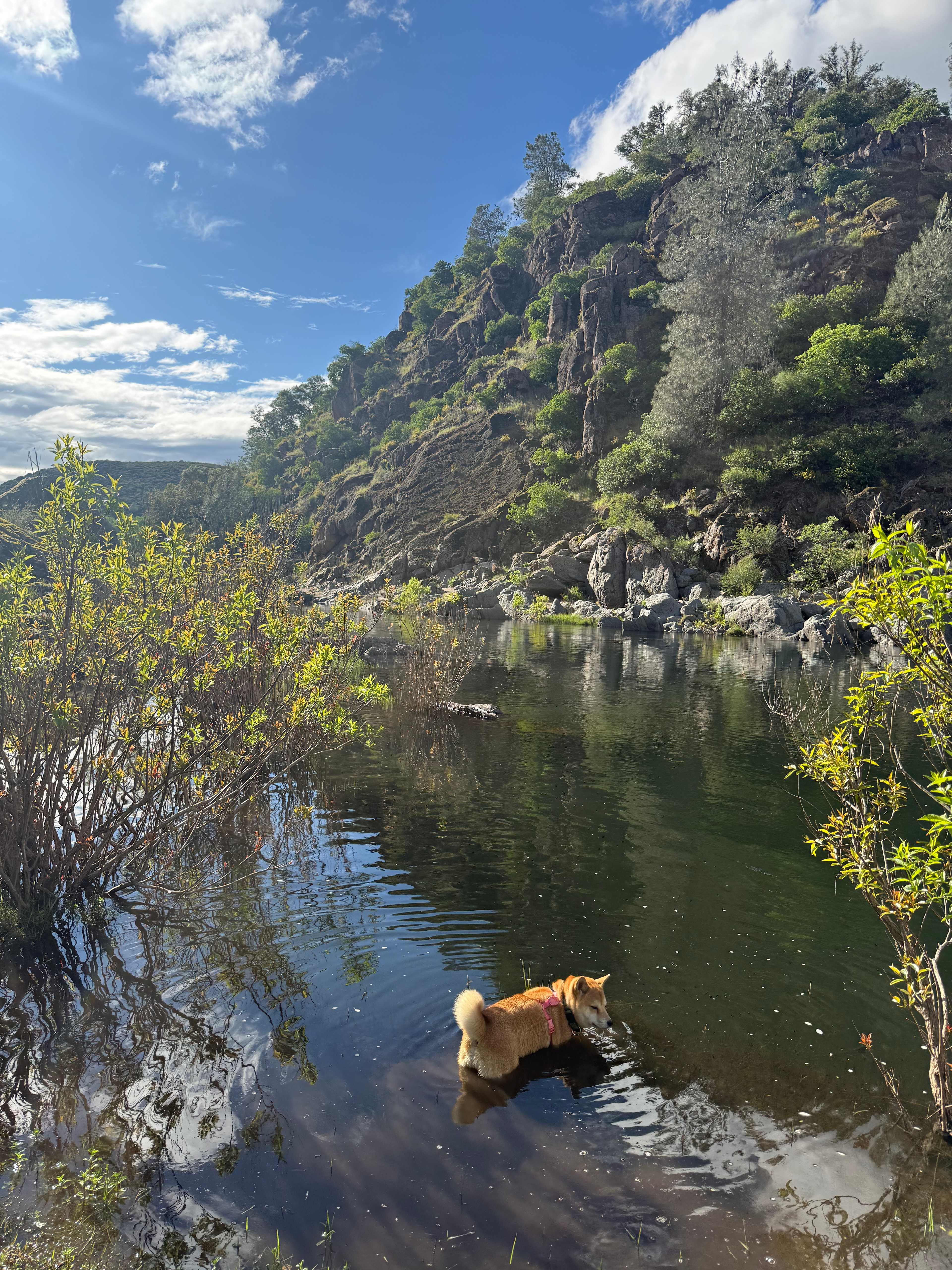 Cosumnes River Ranch