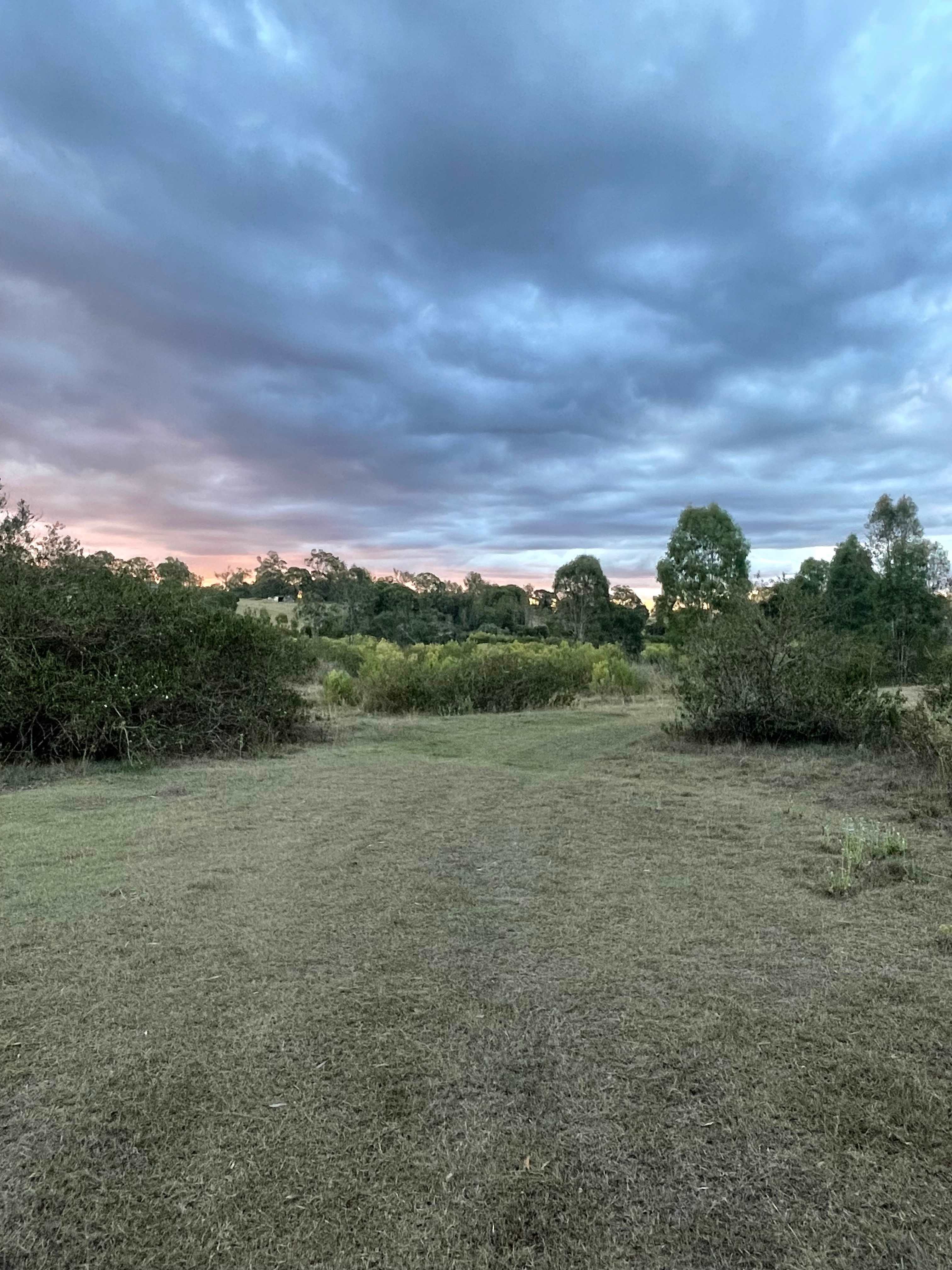 Lowood Nature Camp
