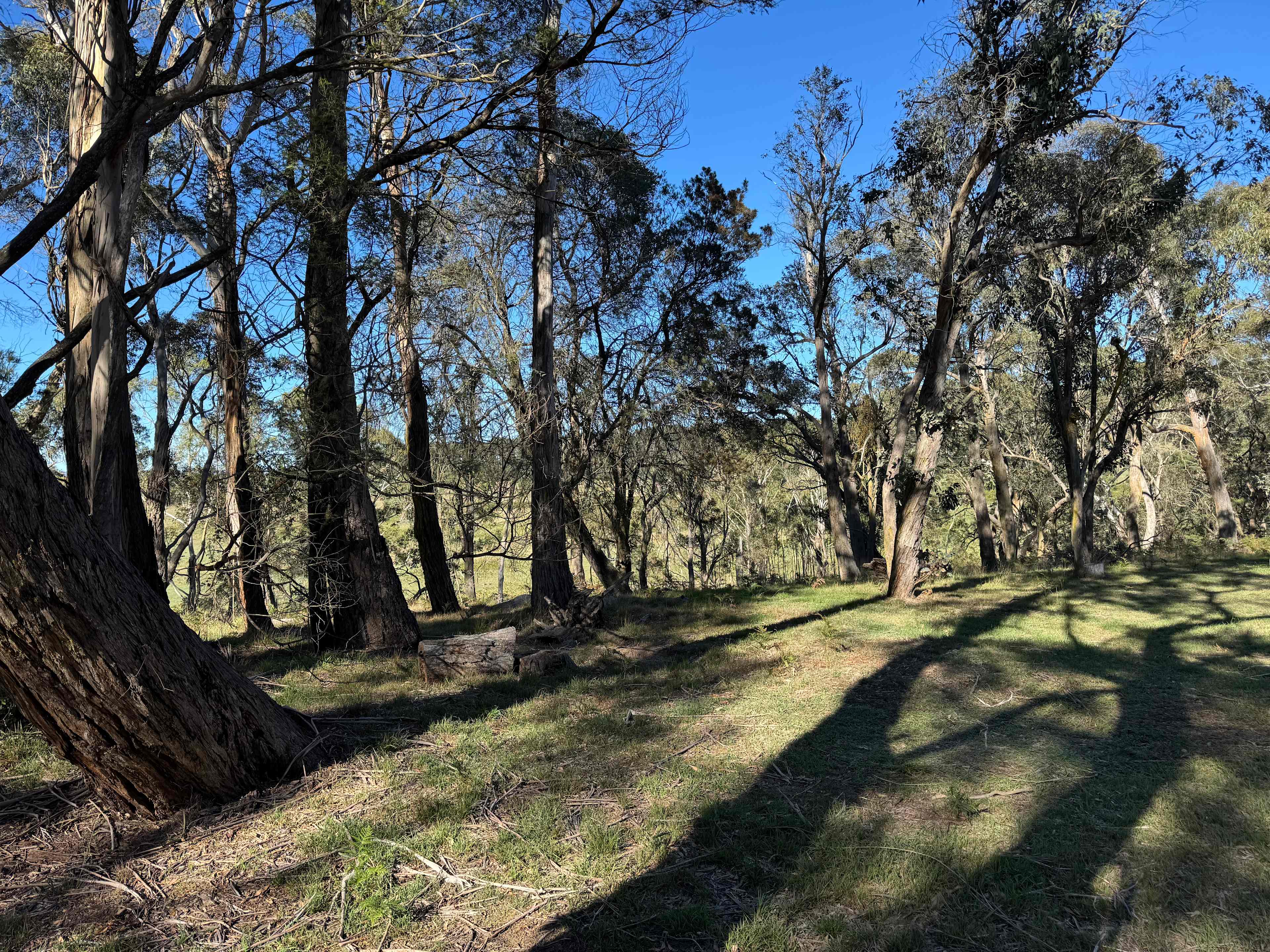 Private Bush Camp Exclusively Yours