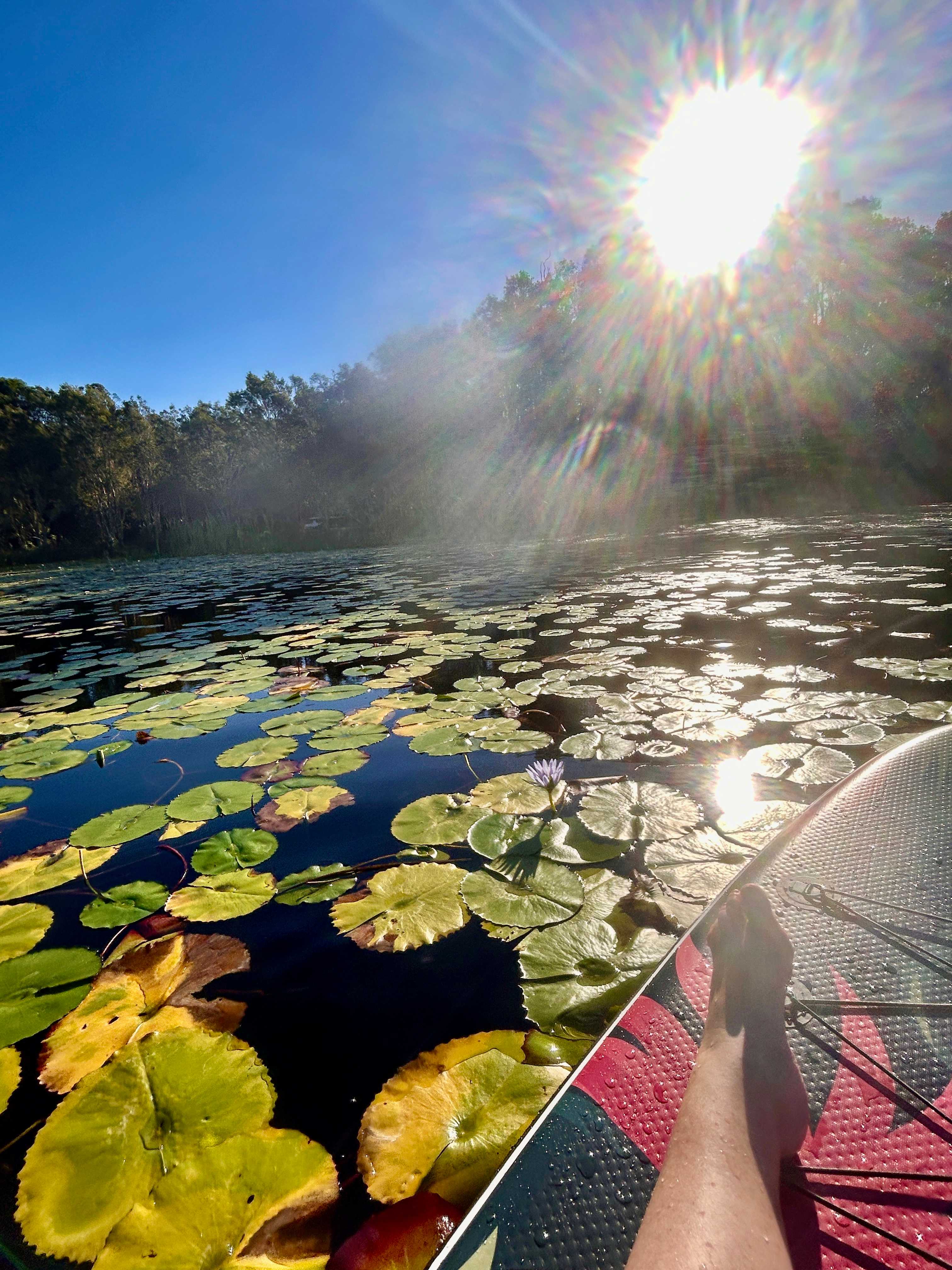 The Magic Pond