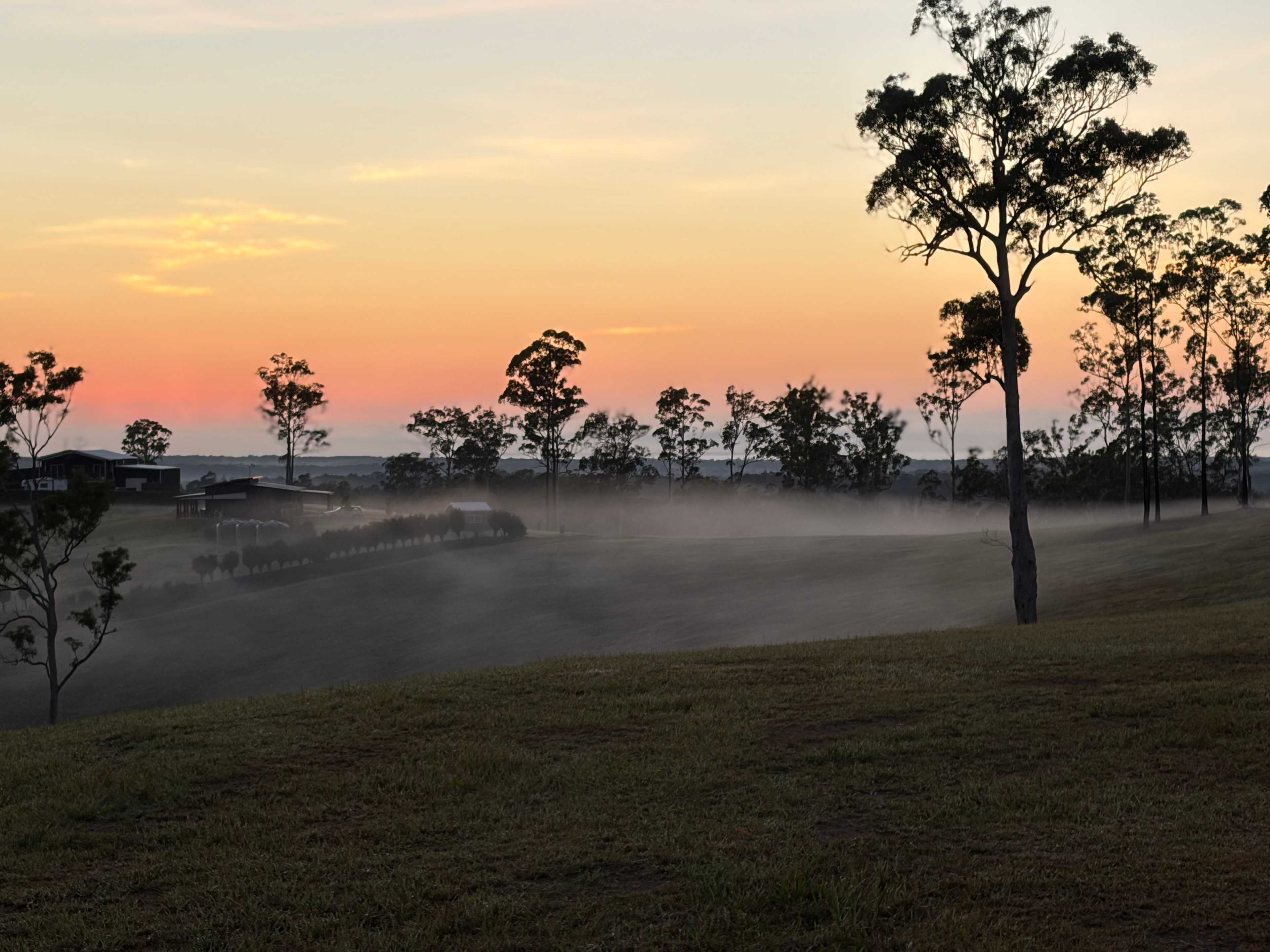 Fog coming up and over the hill from the pond