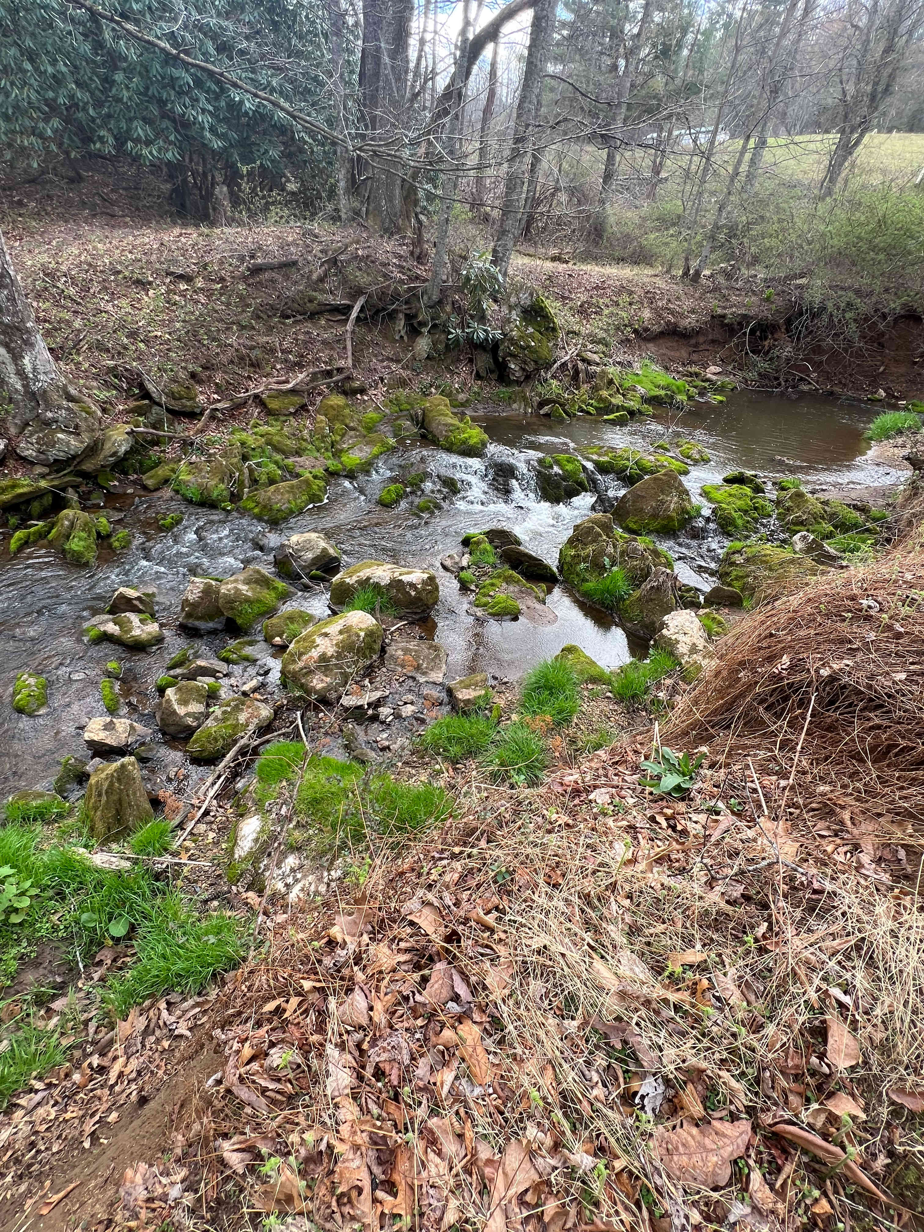 Amazing stream right below your campsite 🤩🥰