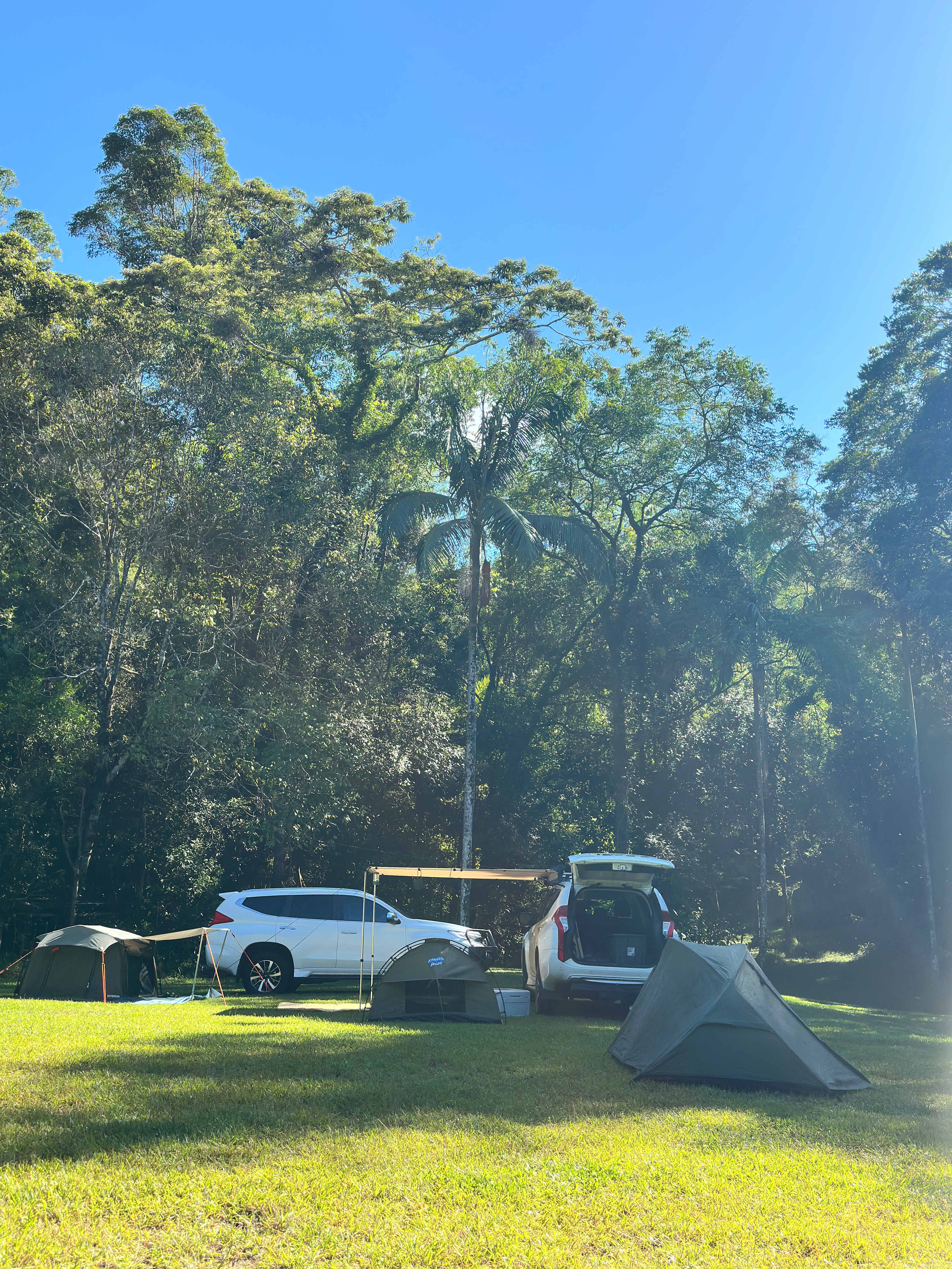 Raintree Hollow (Base Camp) - Sunshine Coast