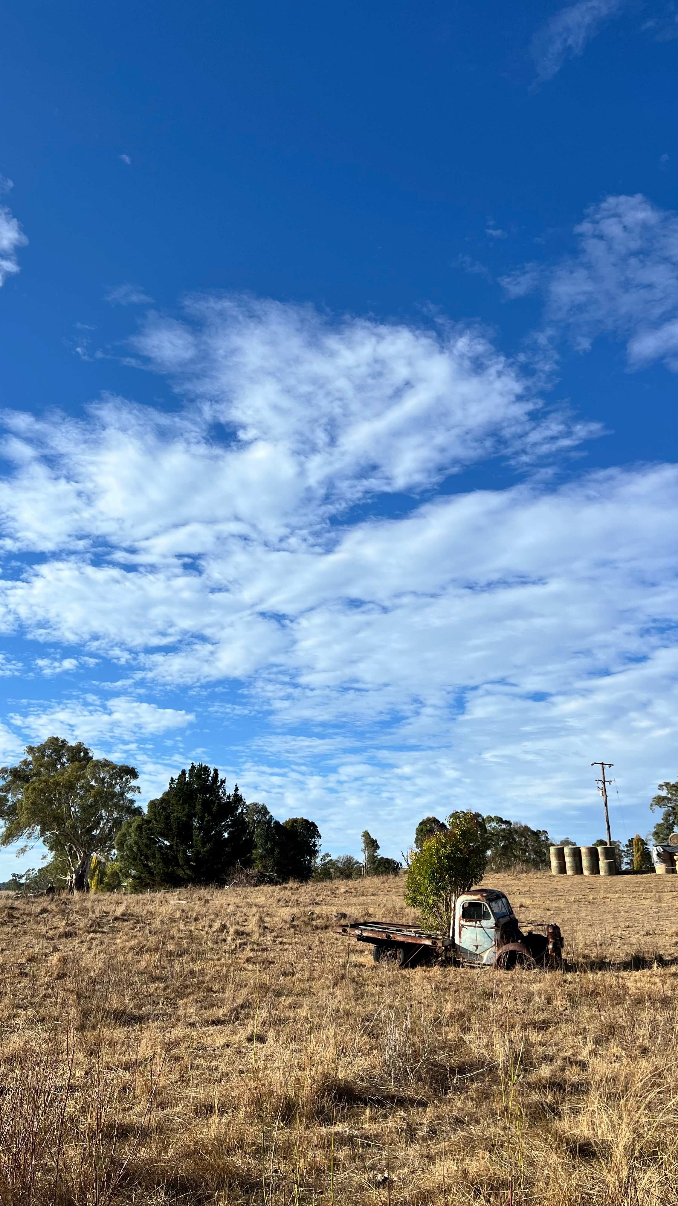 Eden Vale Shearing Shed Camp