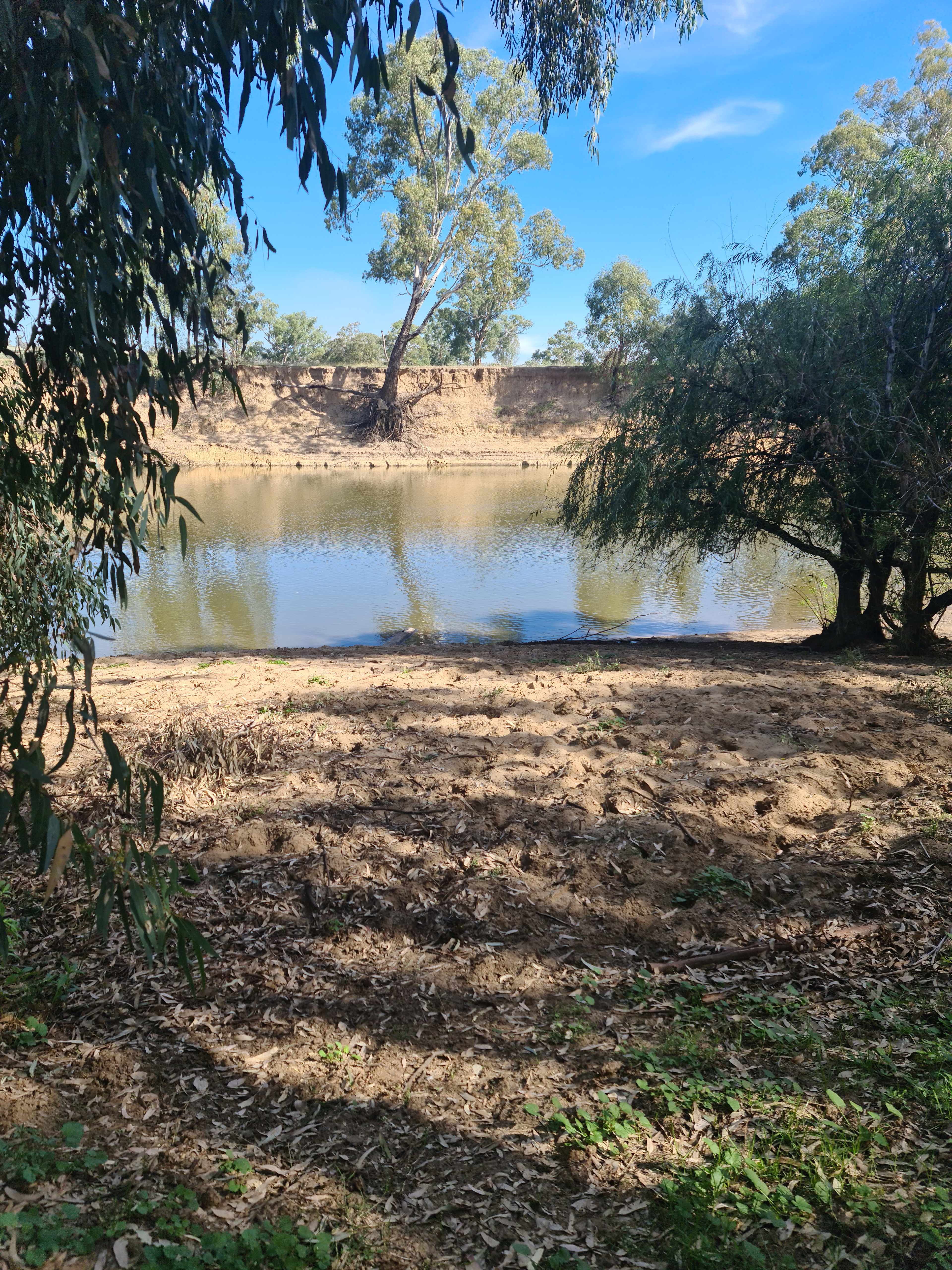 Palm Cove On The Murrumbidgee