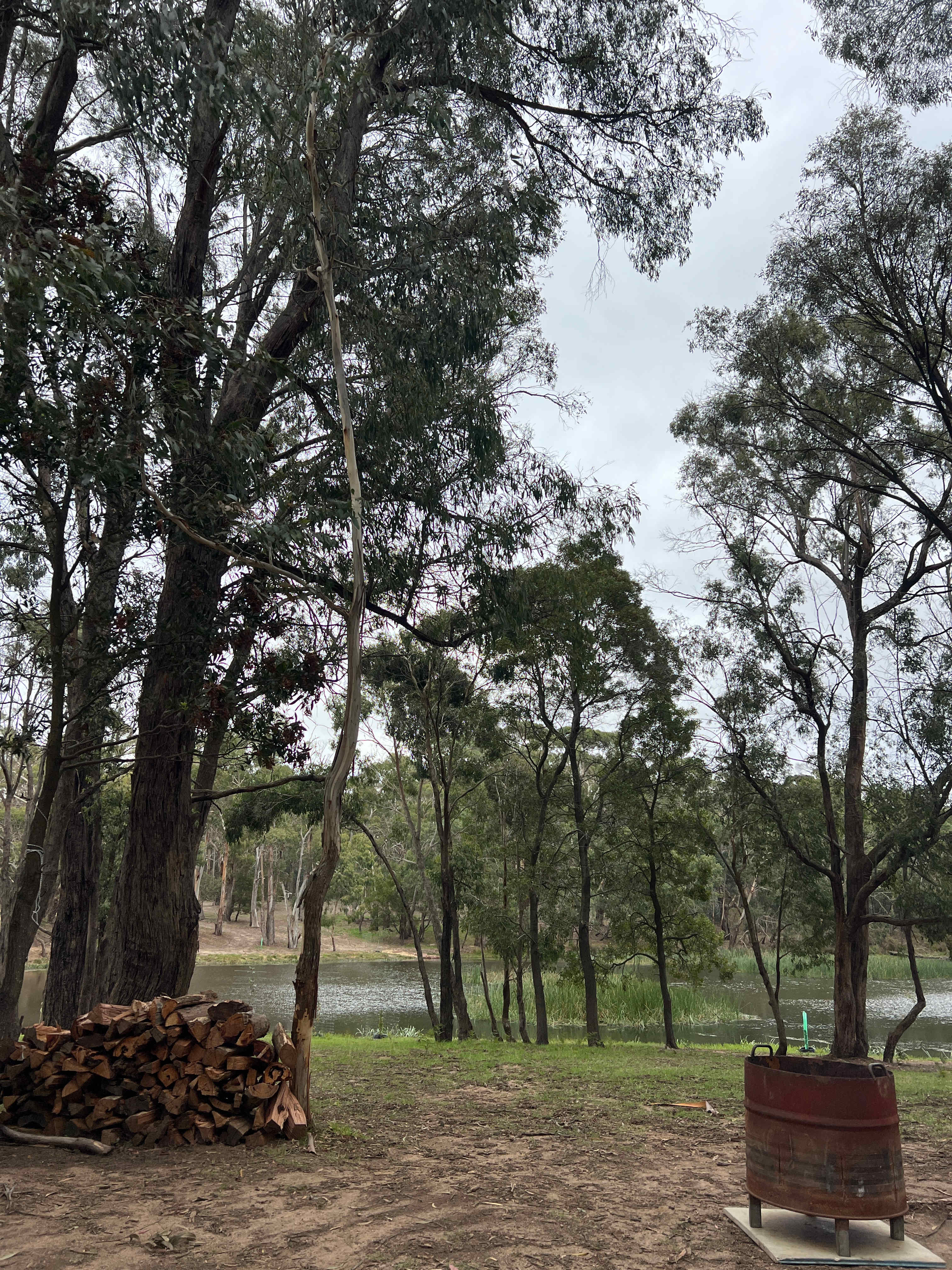 Lancefield Lake's A WETLANDS WONDER