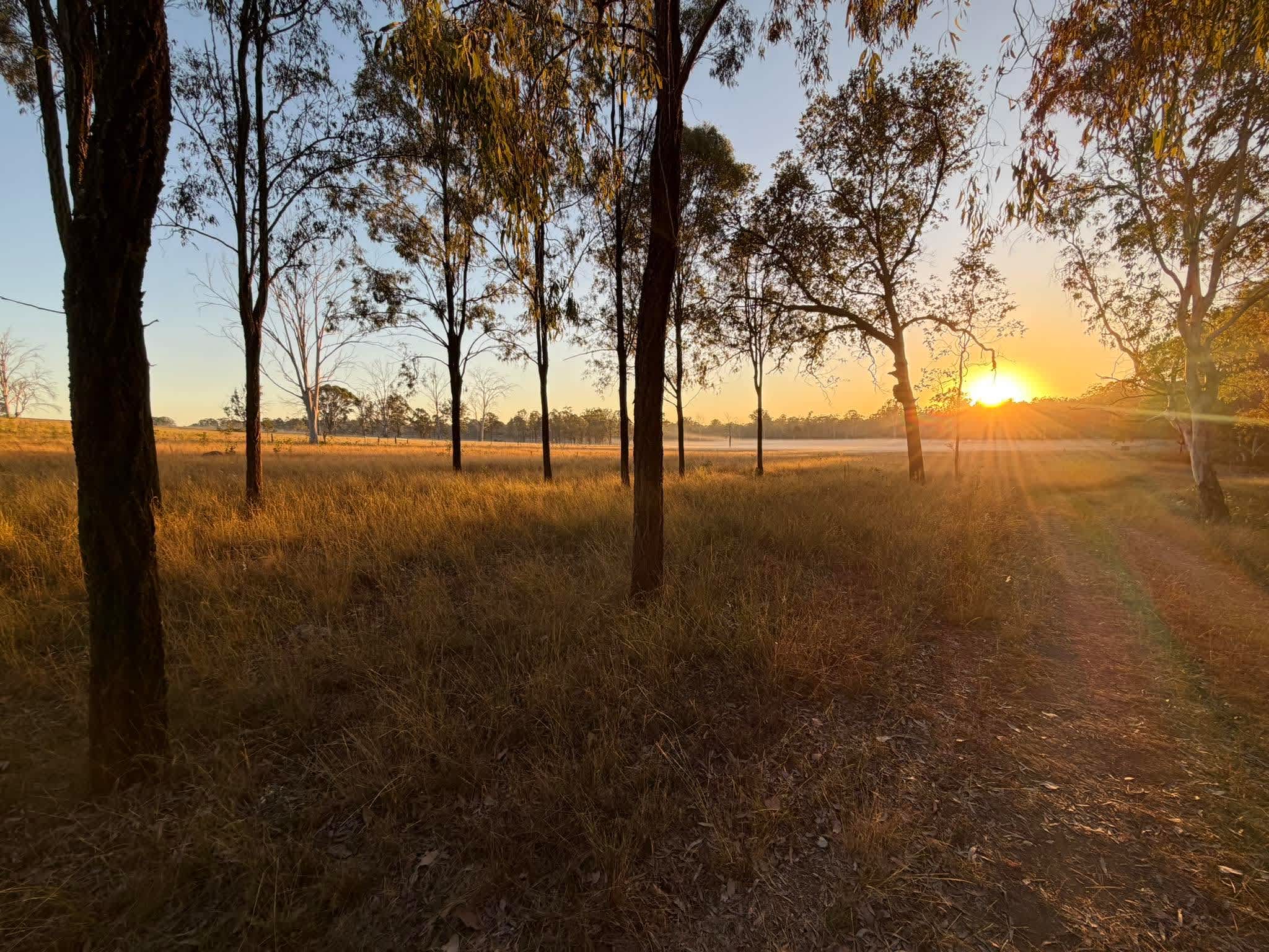 Sandy Creek Camping