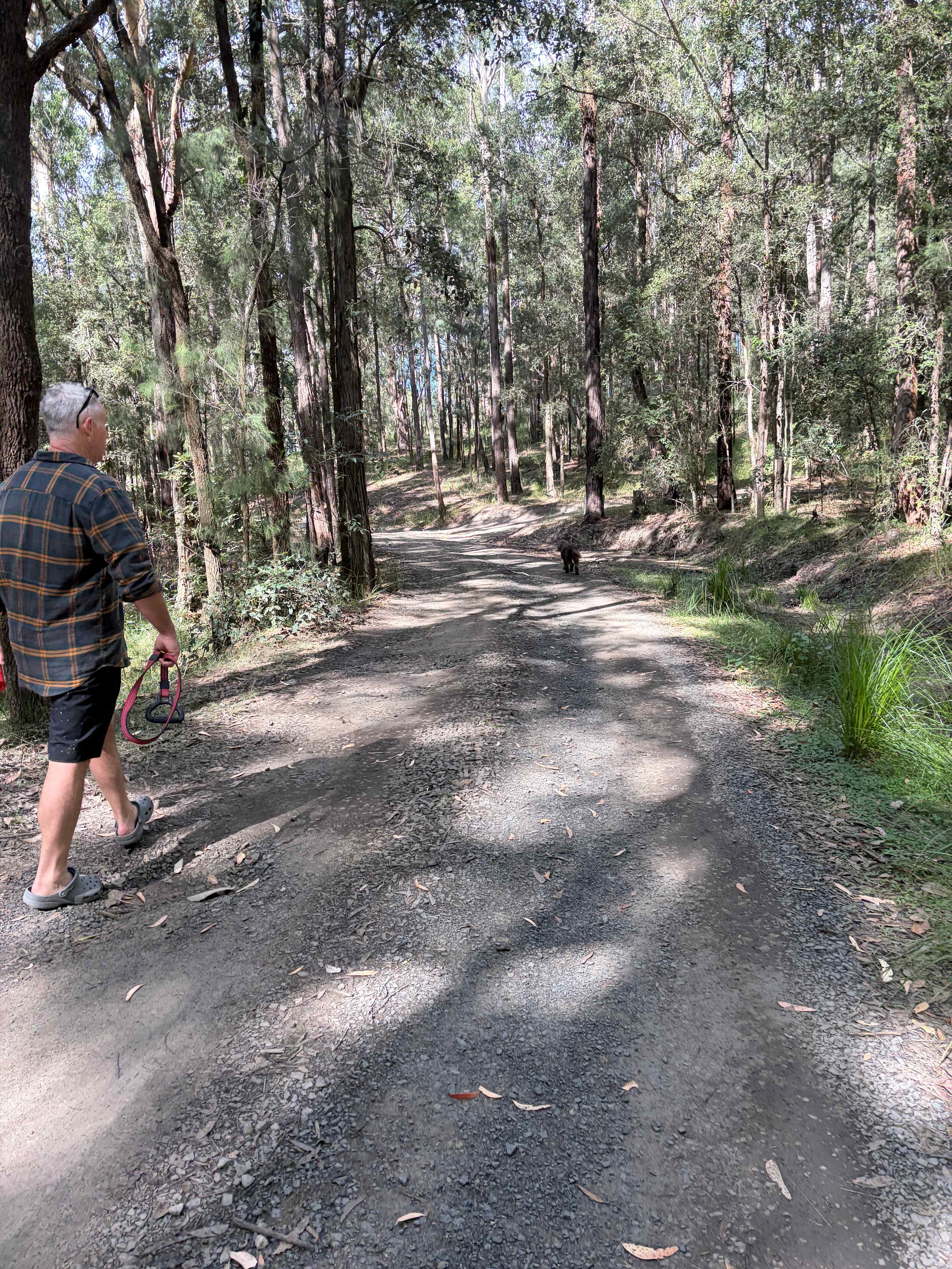 Mt Nellinda Campsite