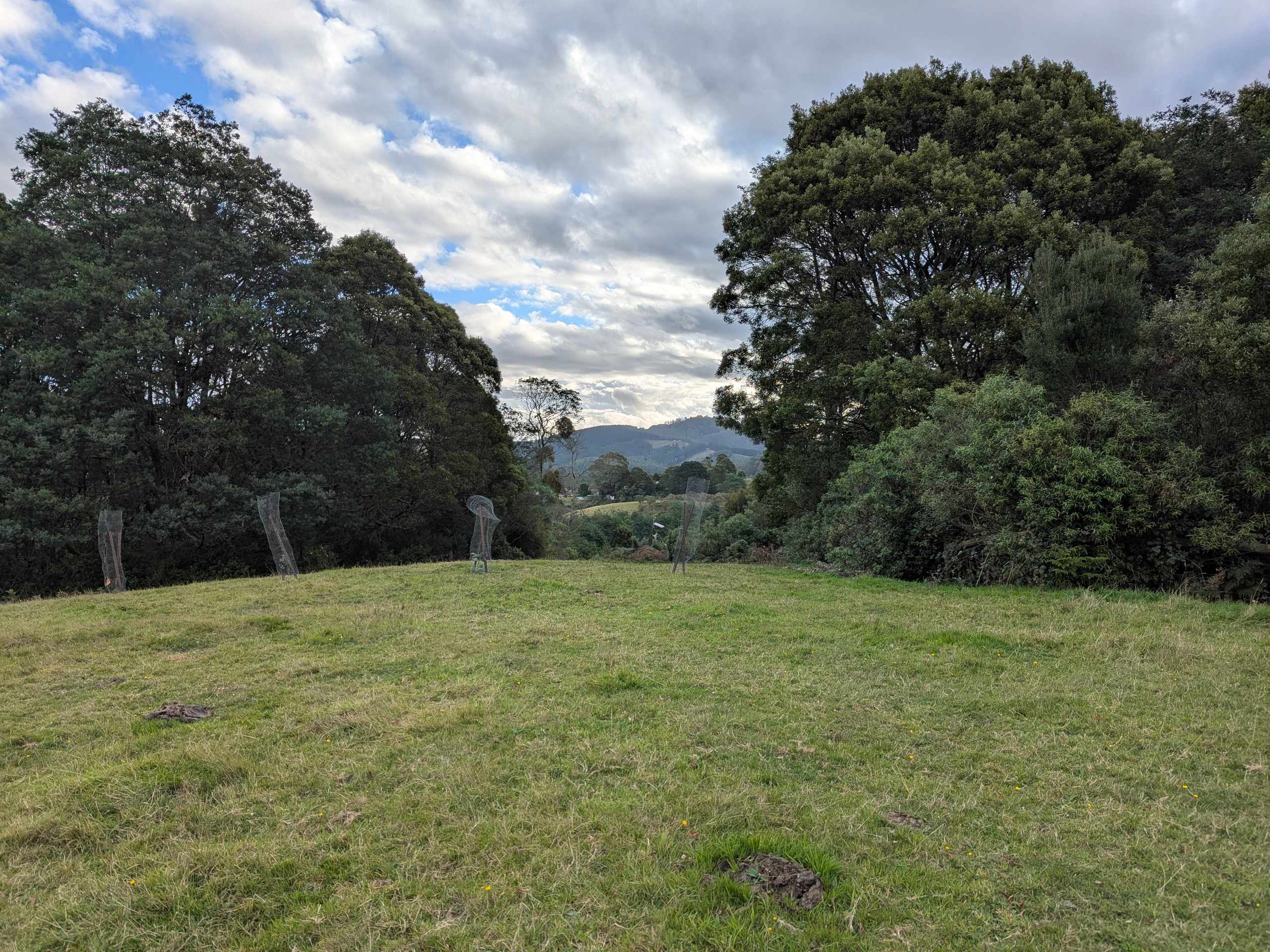 Mountain Life Retreat
