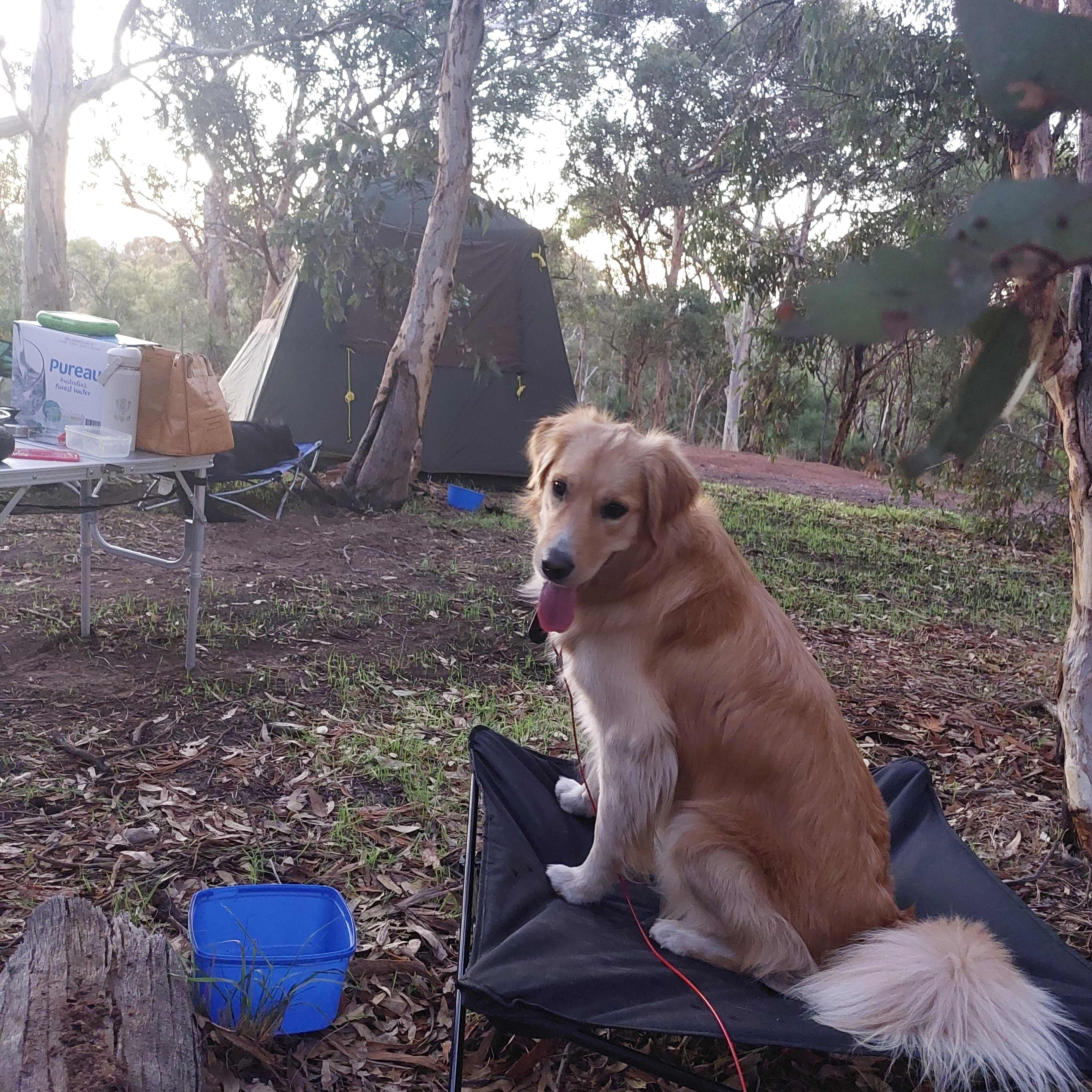 Camp-site #8