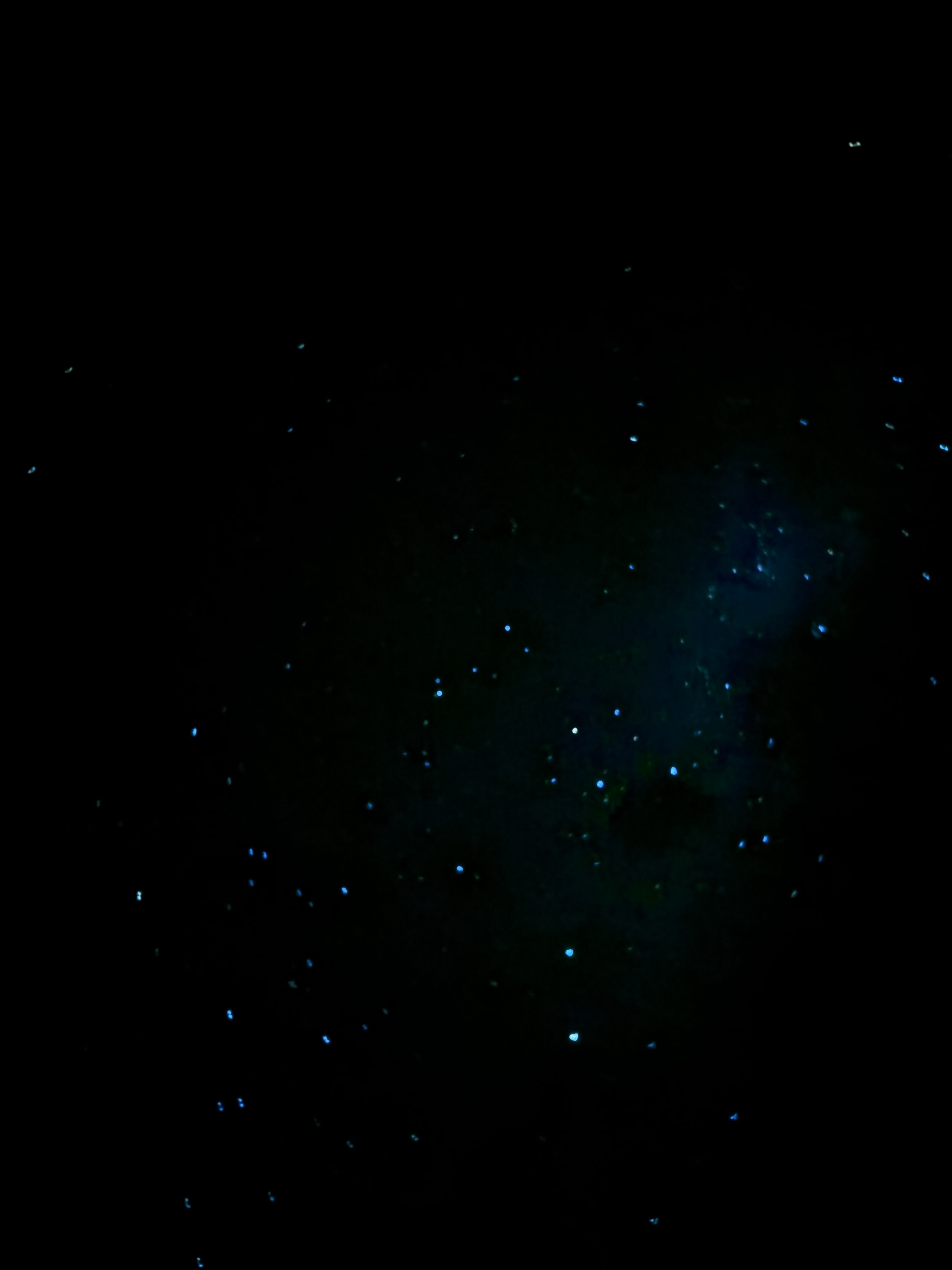Excellent spot for star watching