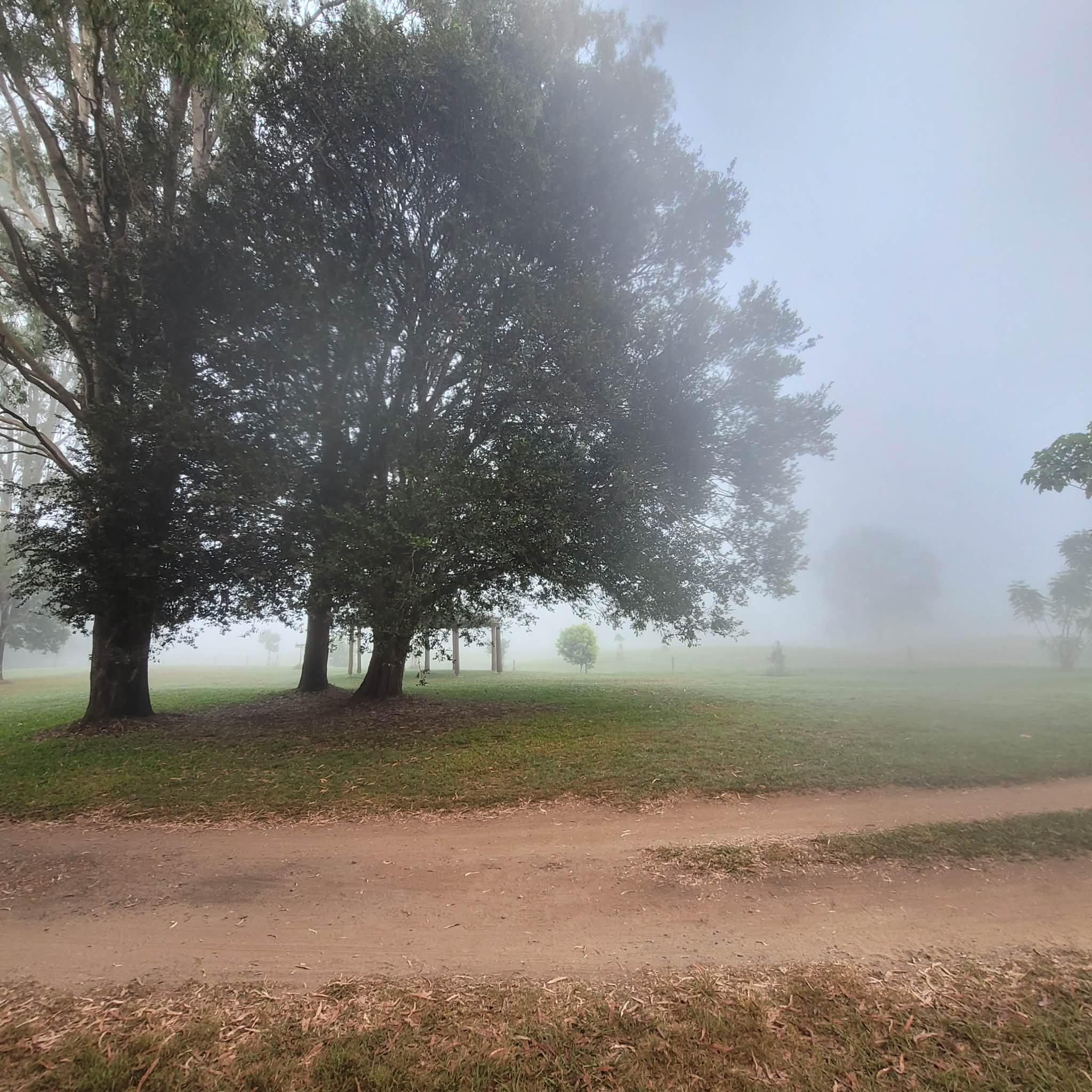 Maluka Park