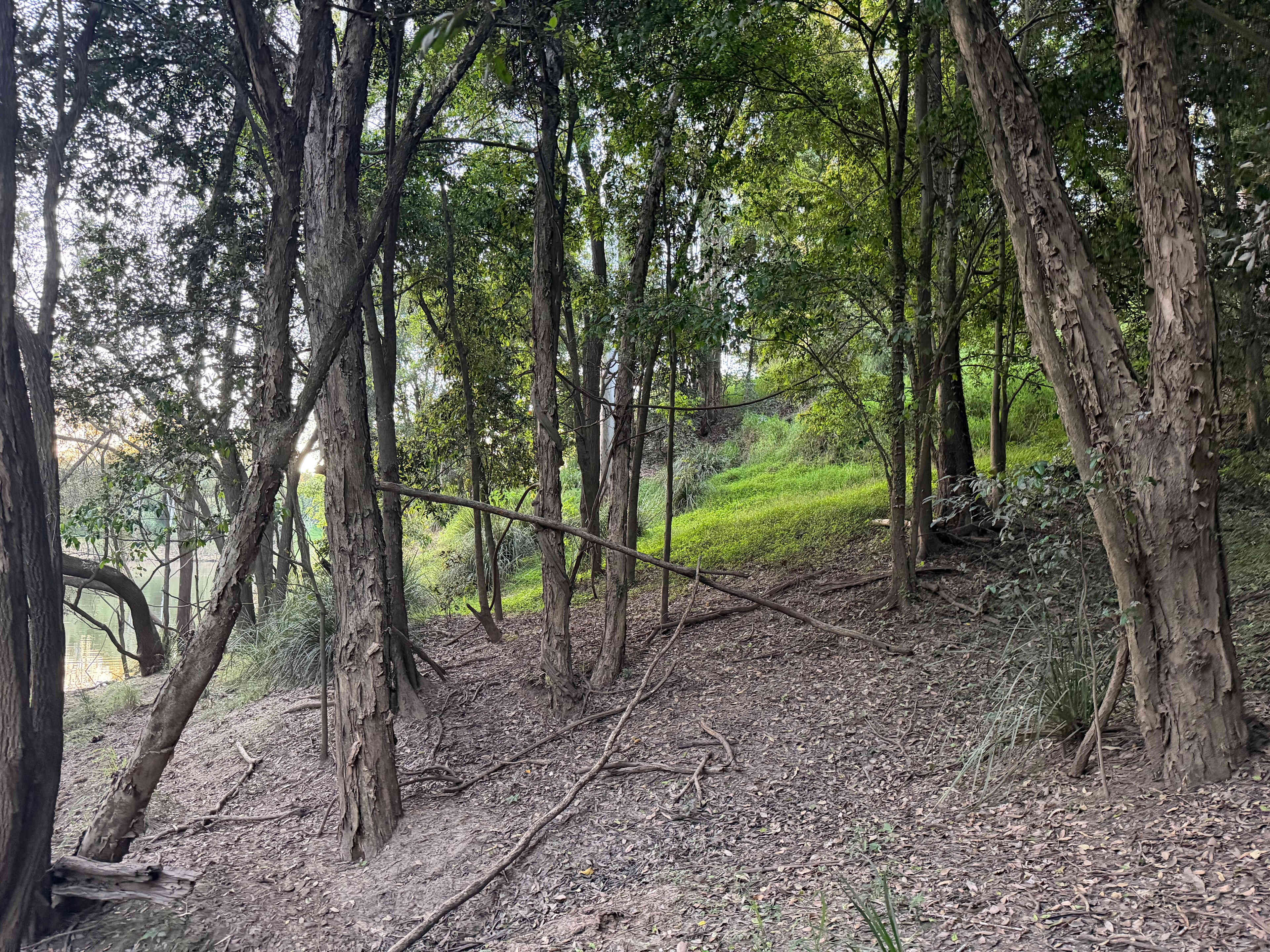 Picture of the site
