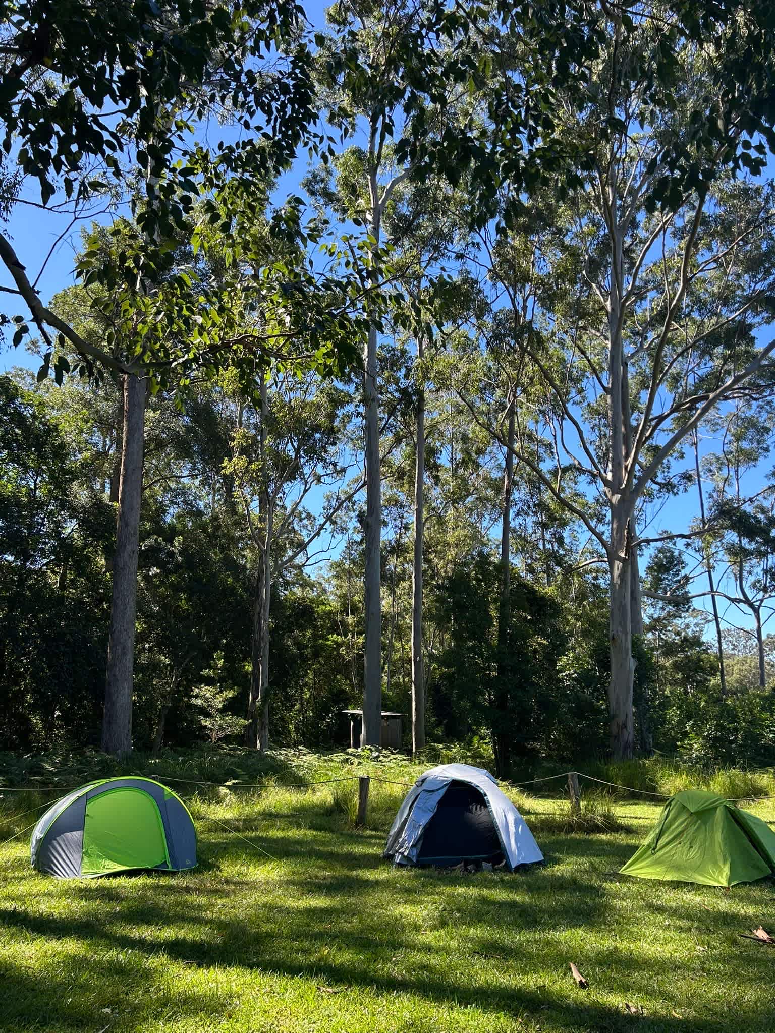 Wombat Flats Campsite: Martinsville
