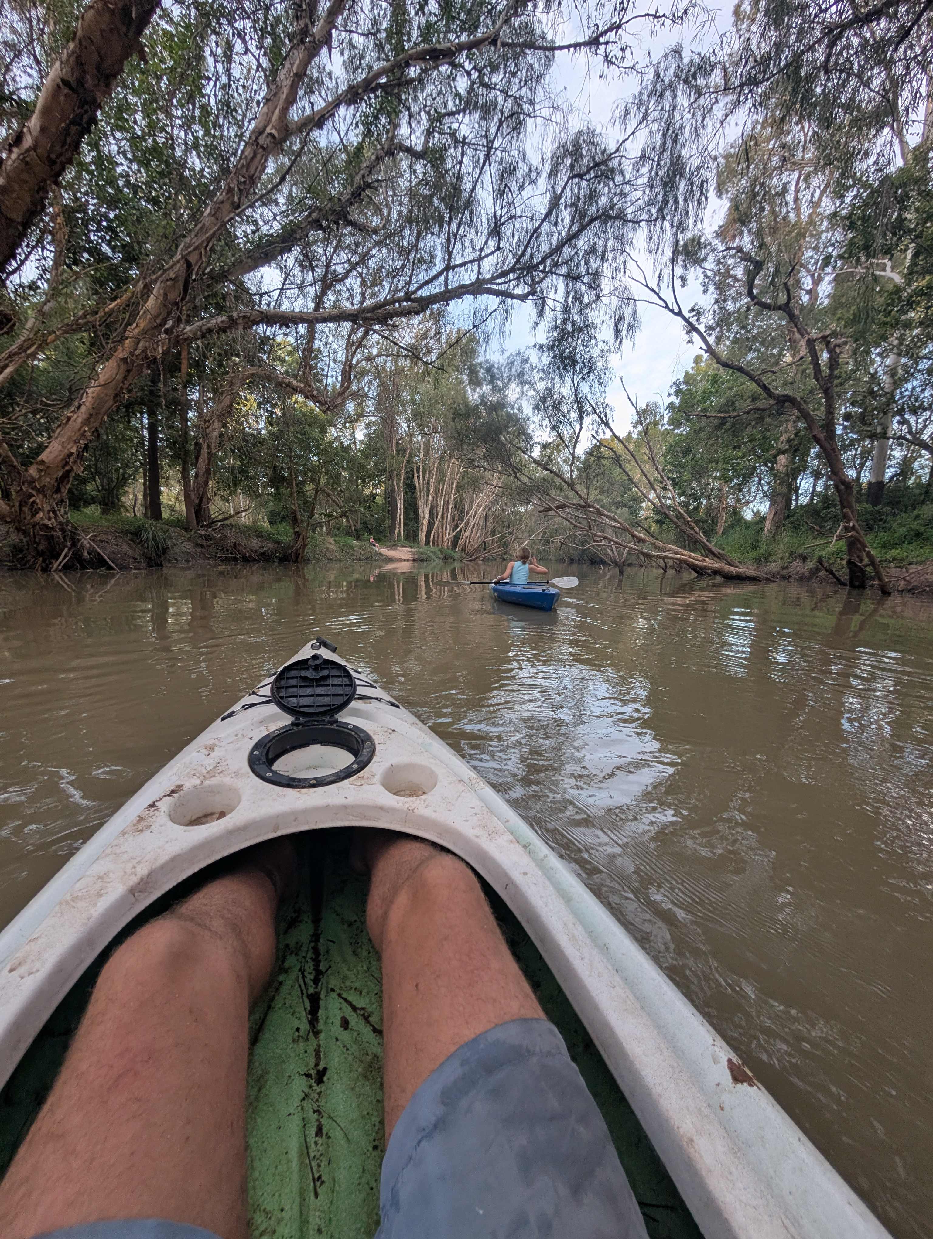 Gumtree Rest