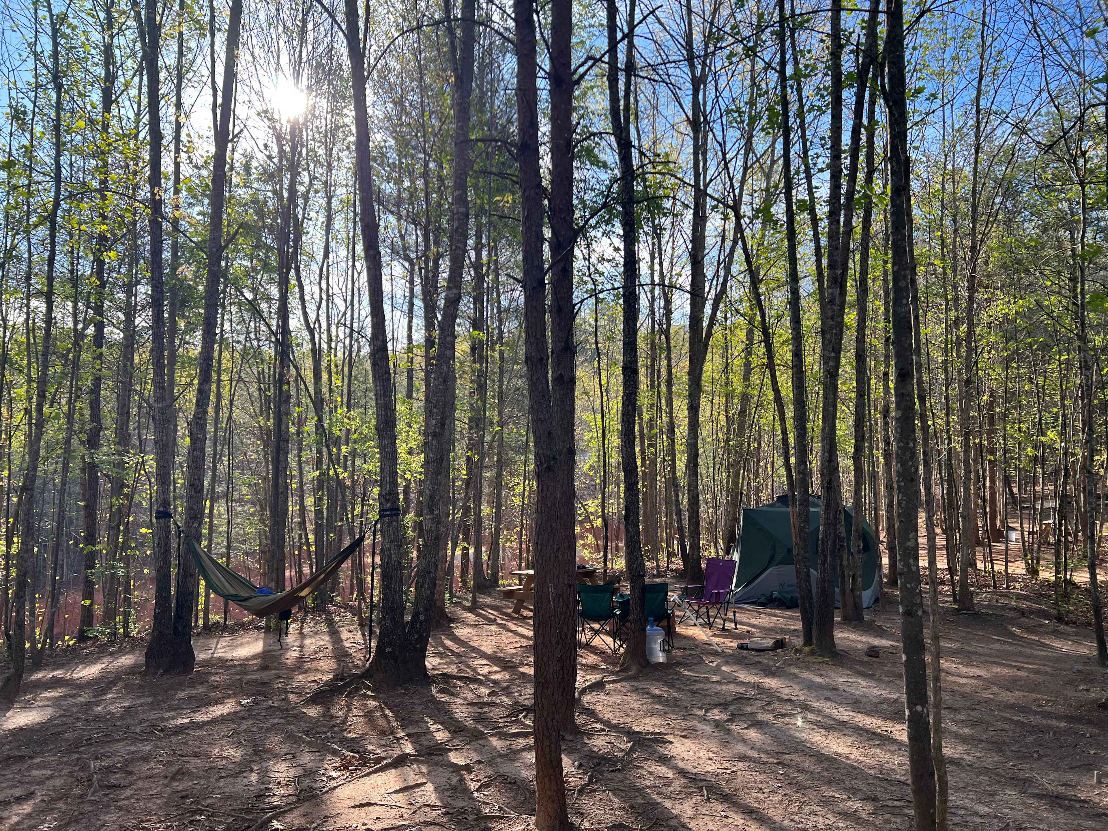 Site 3 