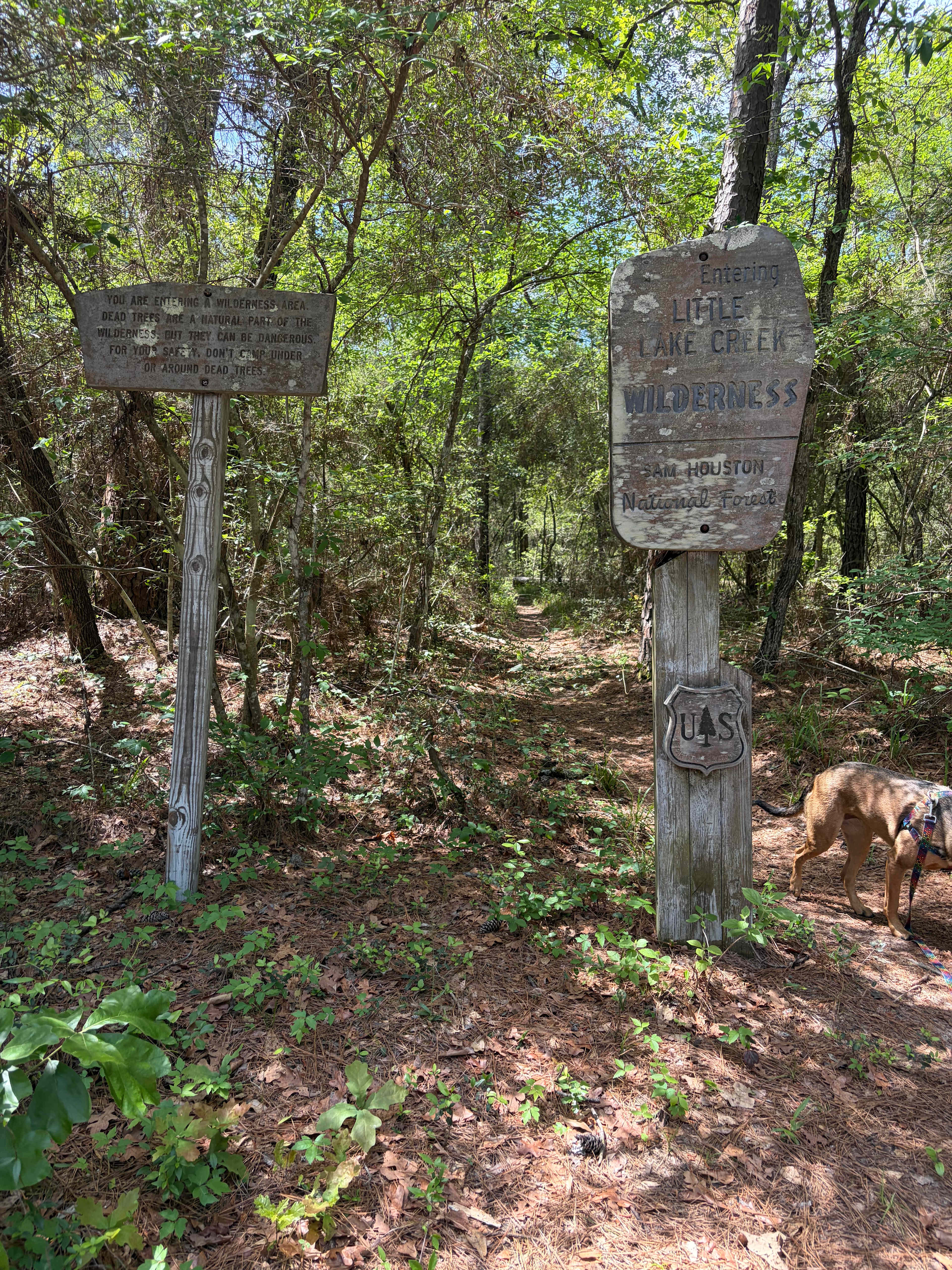 Some old trail signs