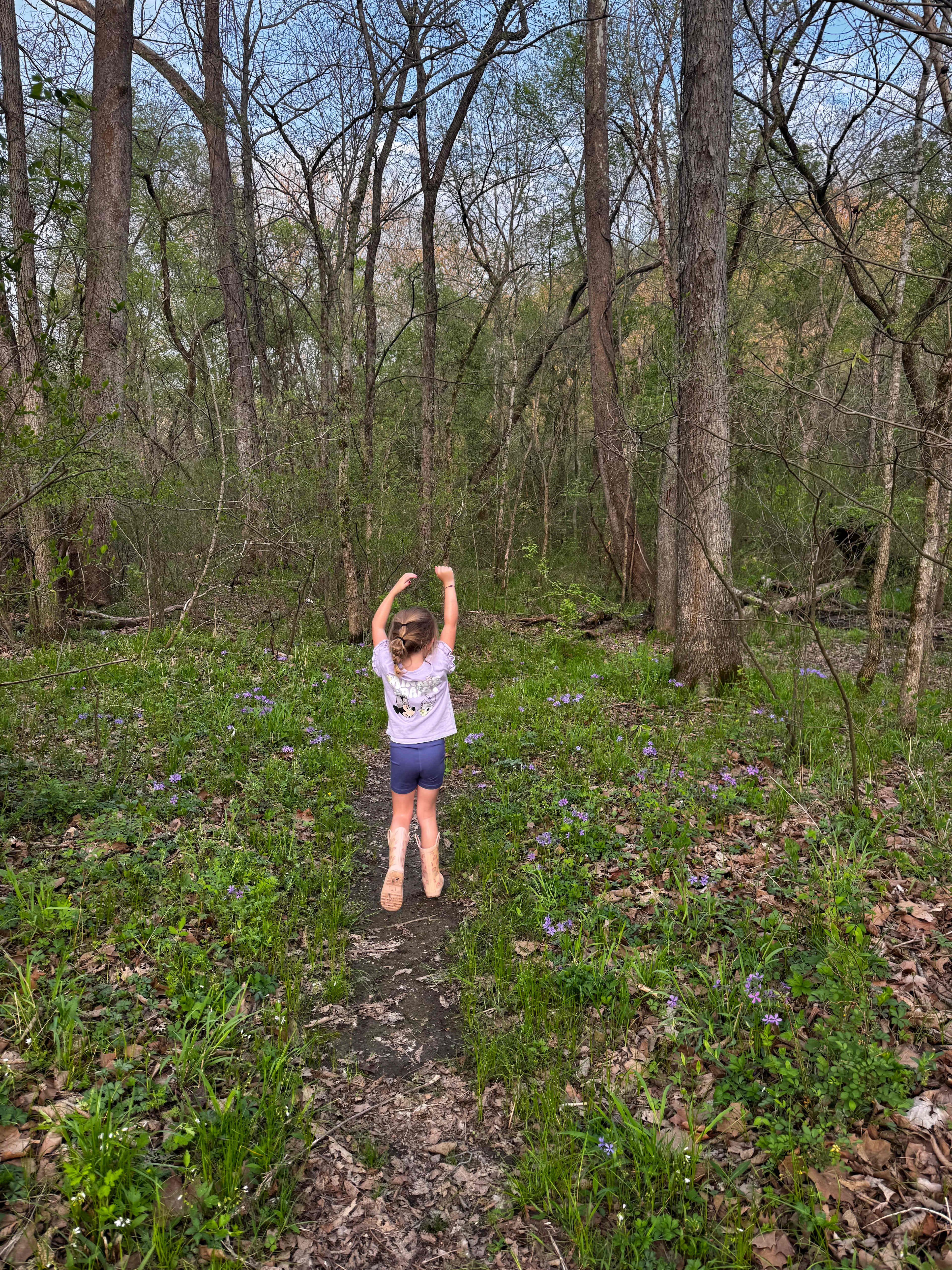 Hummingbird Hollow Outdoors