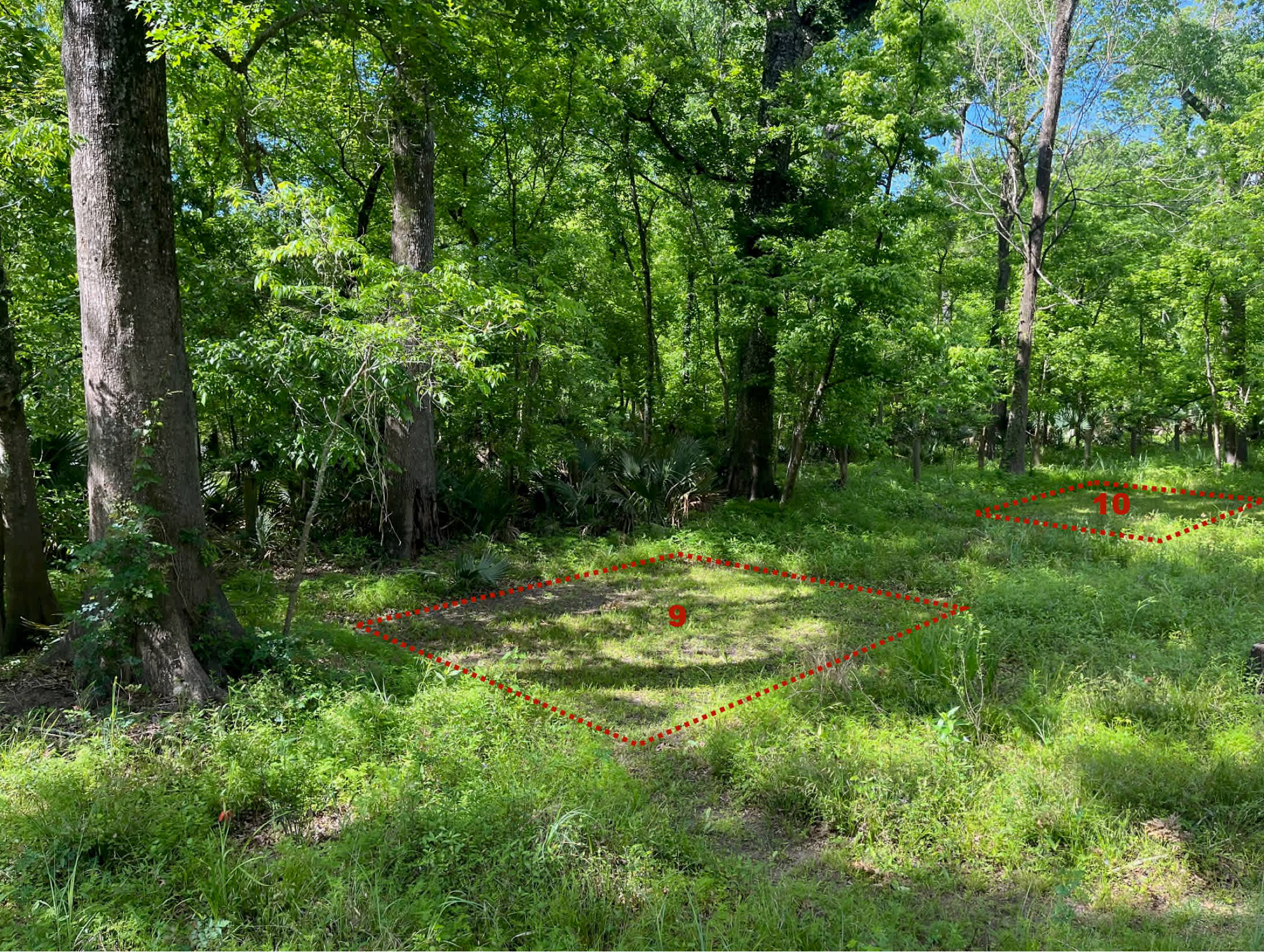 Picture of the site