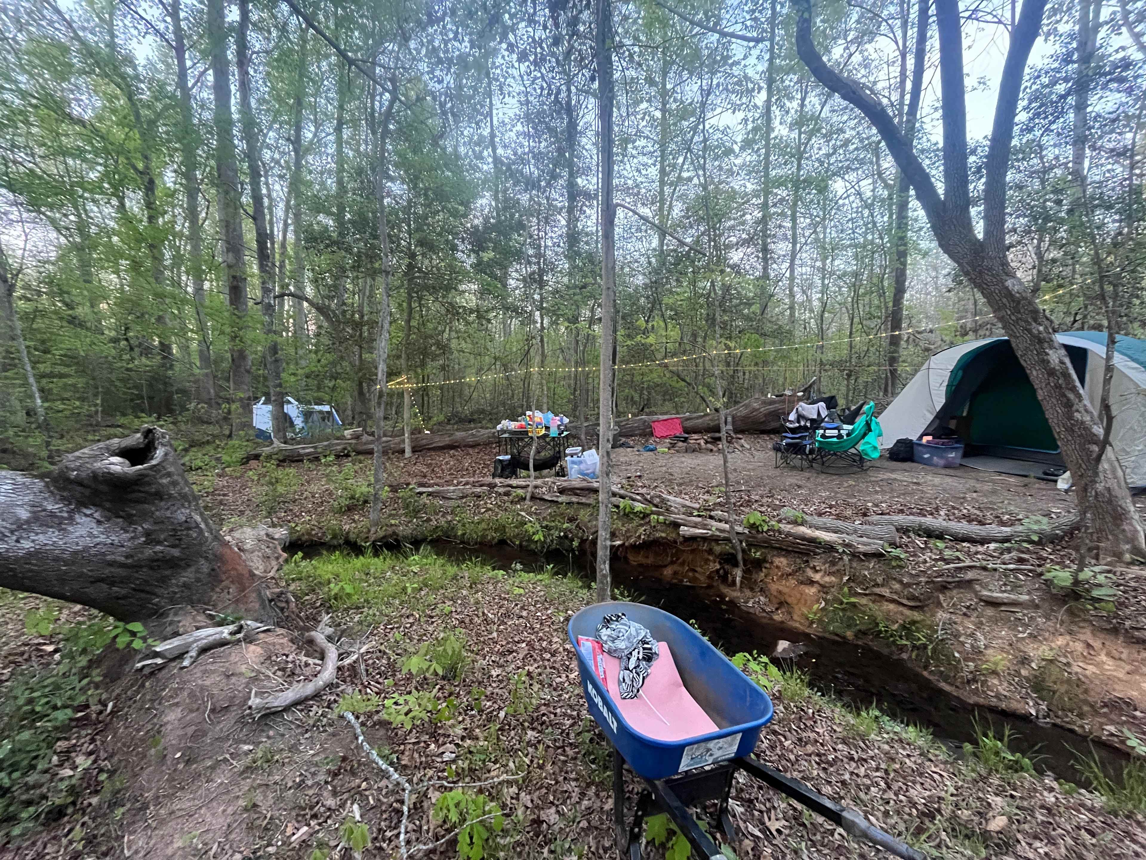 Forest & Farm Camping Retreat