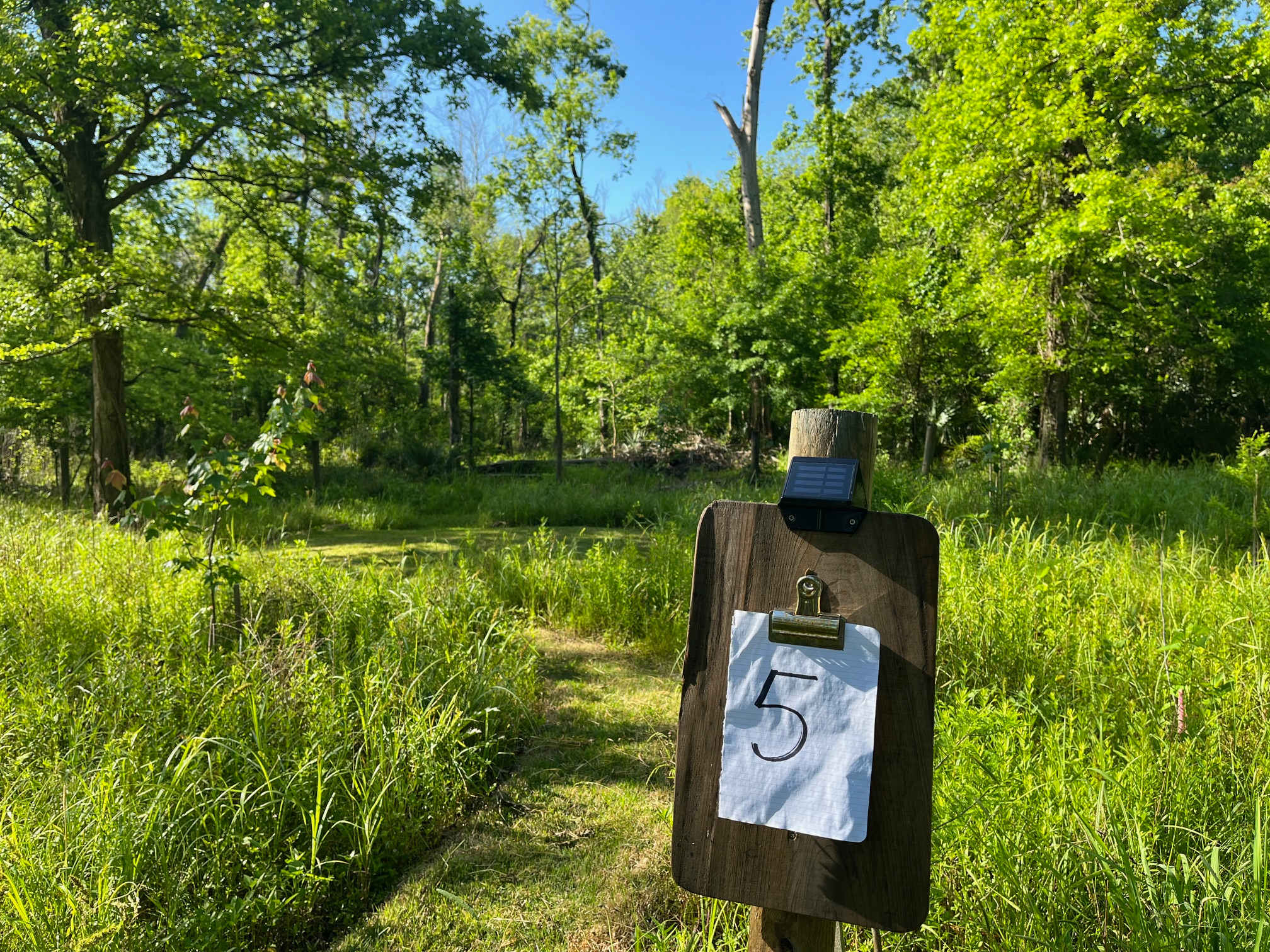 Picture of the site