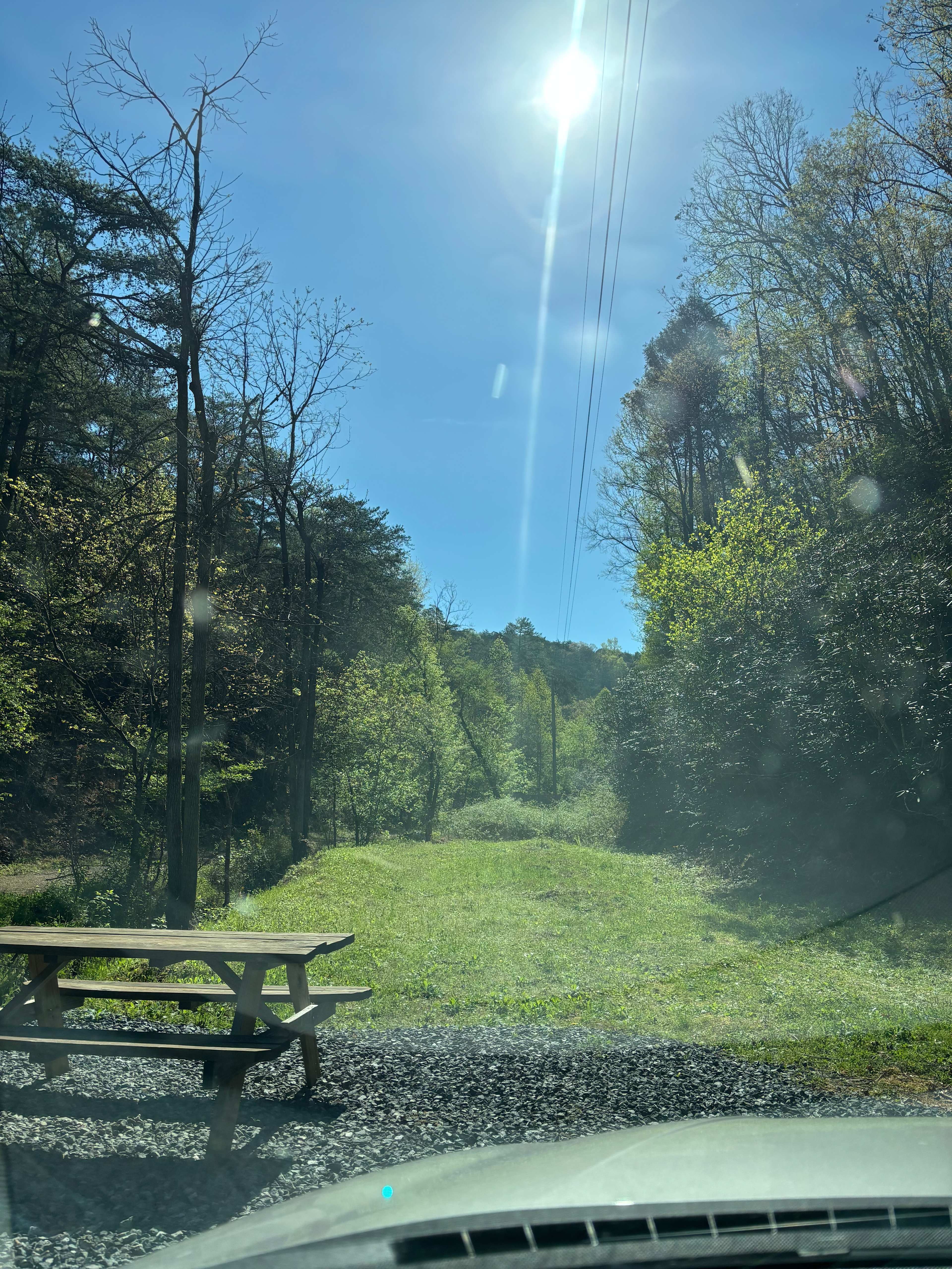 Picture of the site
