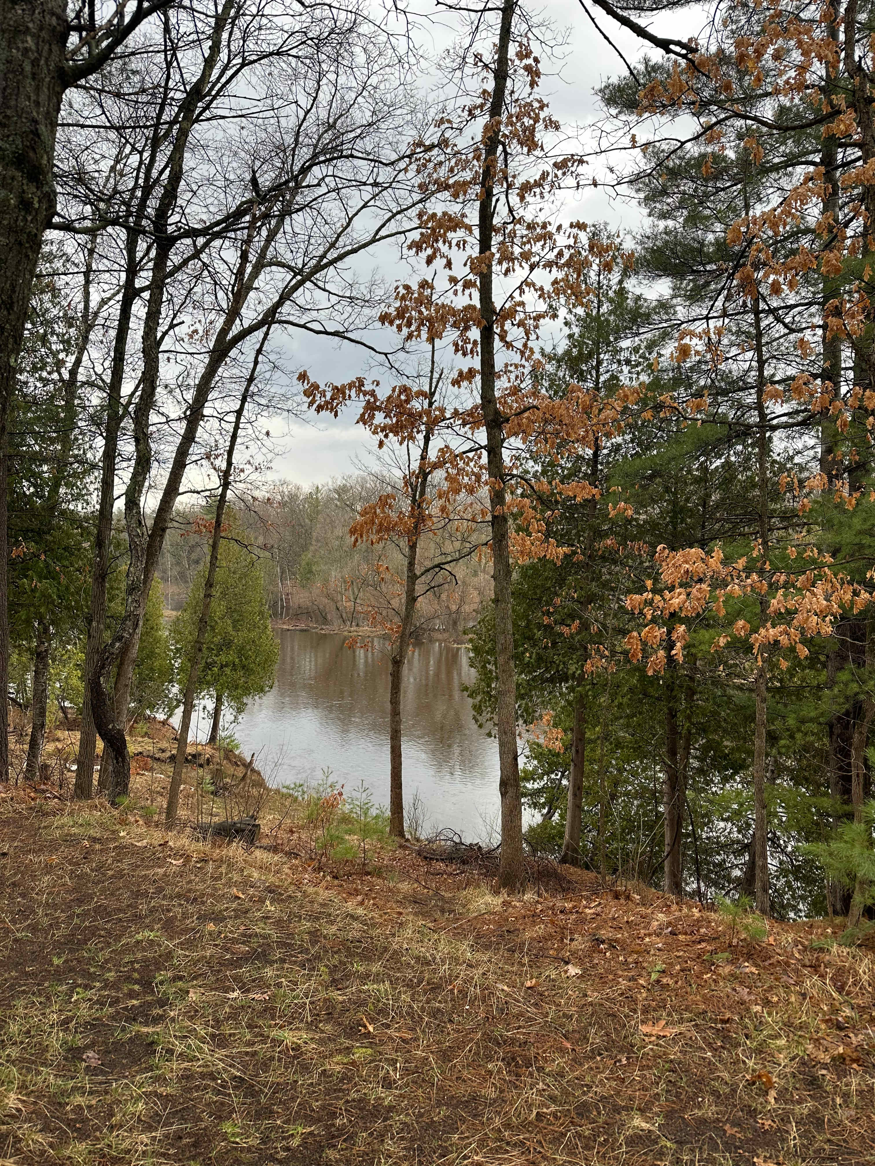 Gray's Riverside Camp