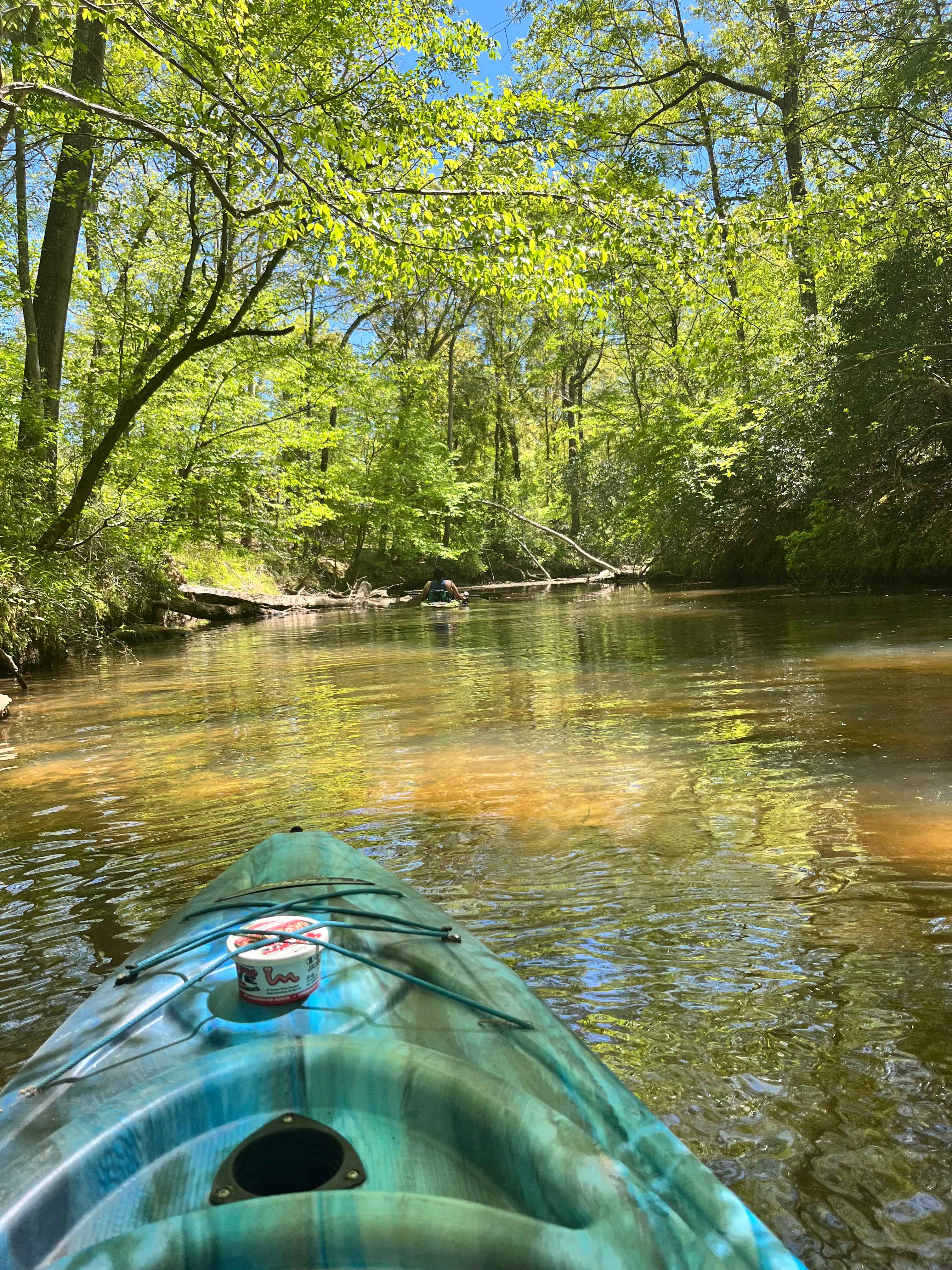 The swimming hole