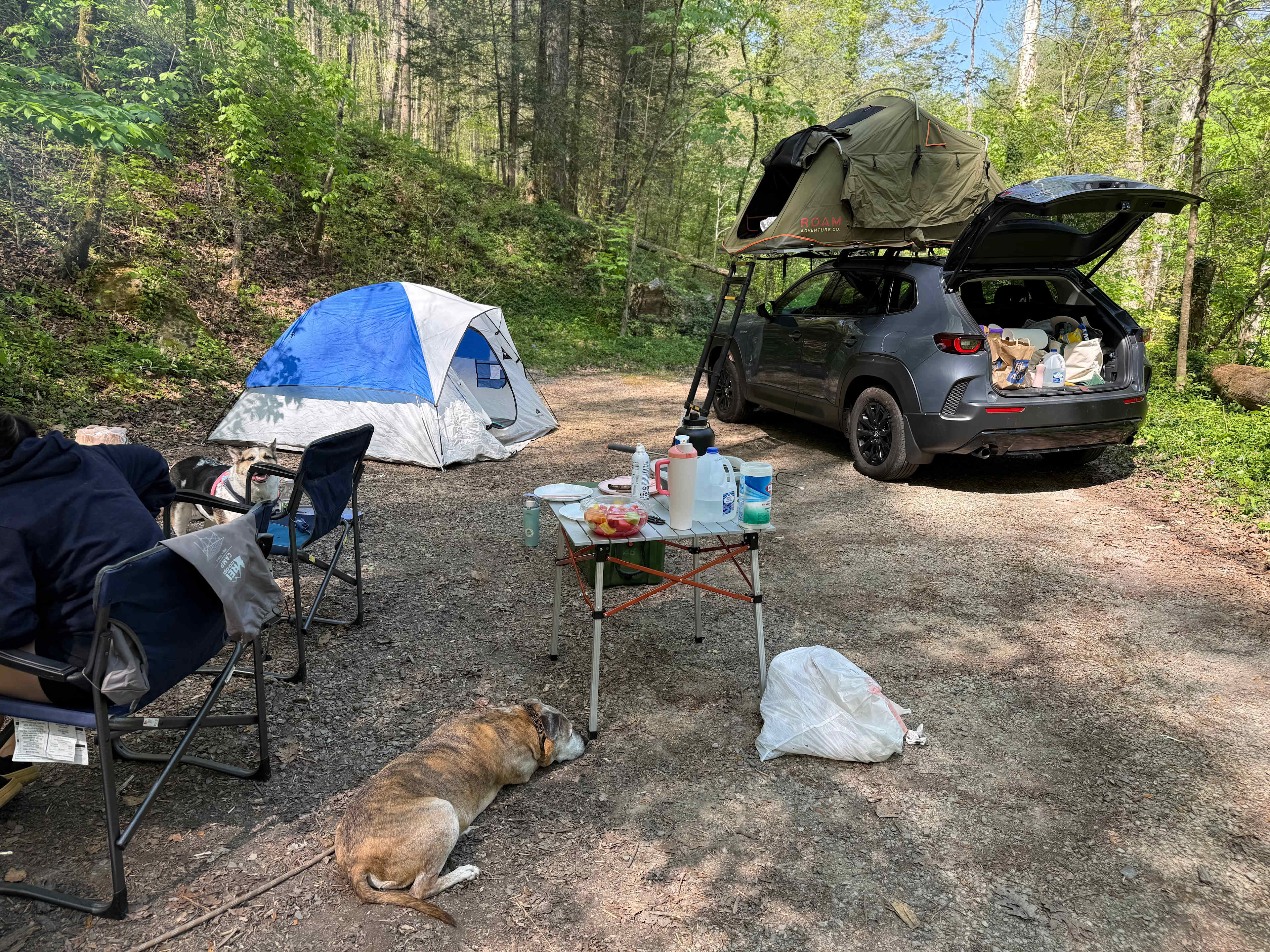 Camping at Redtail Farm