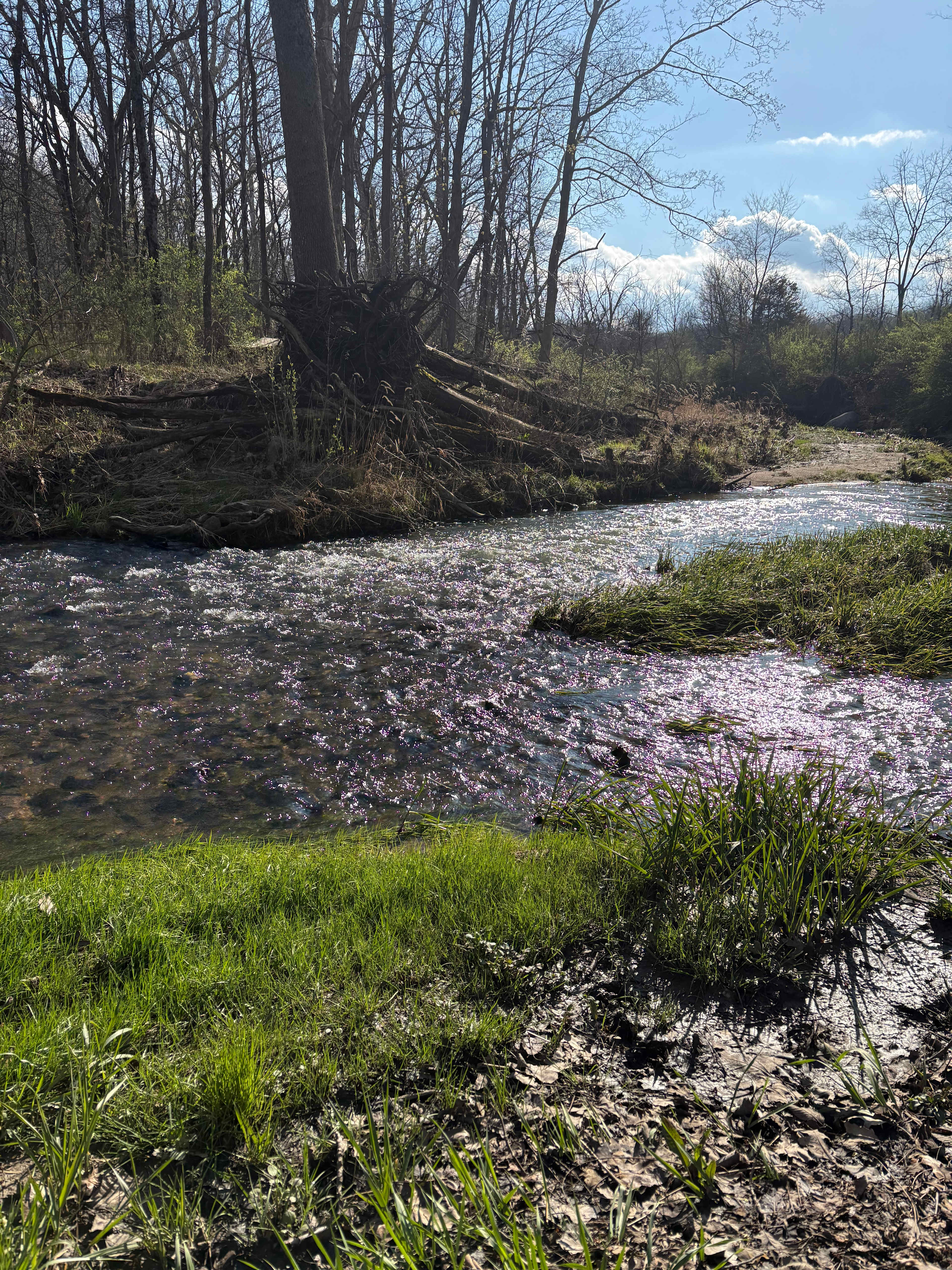 Gypsi Acres
