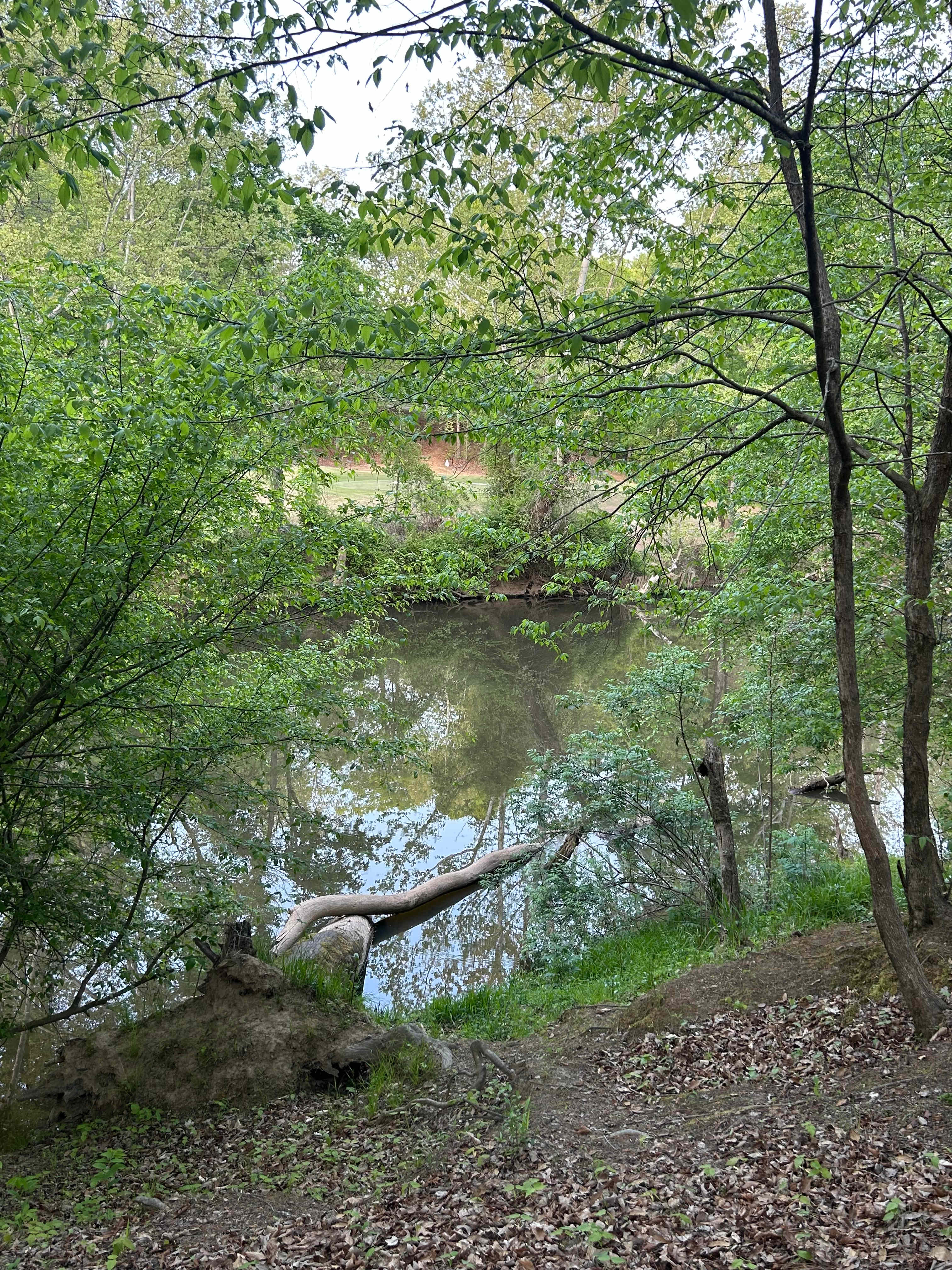 Tar River Life