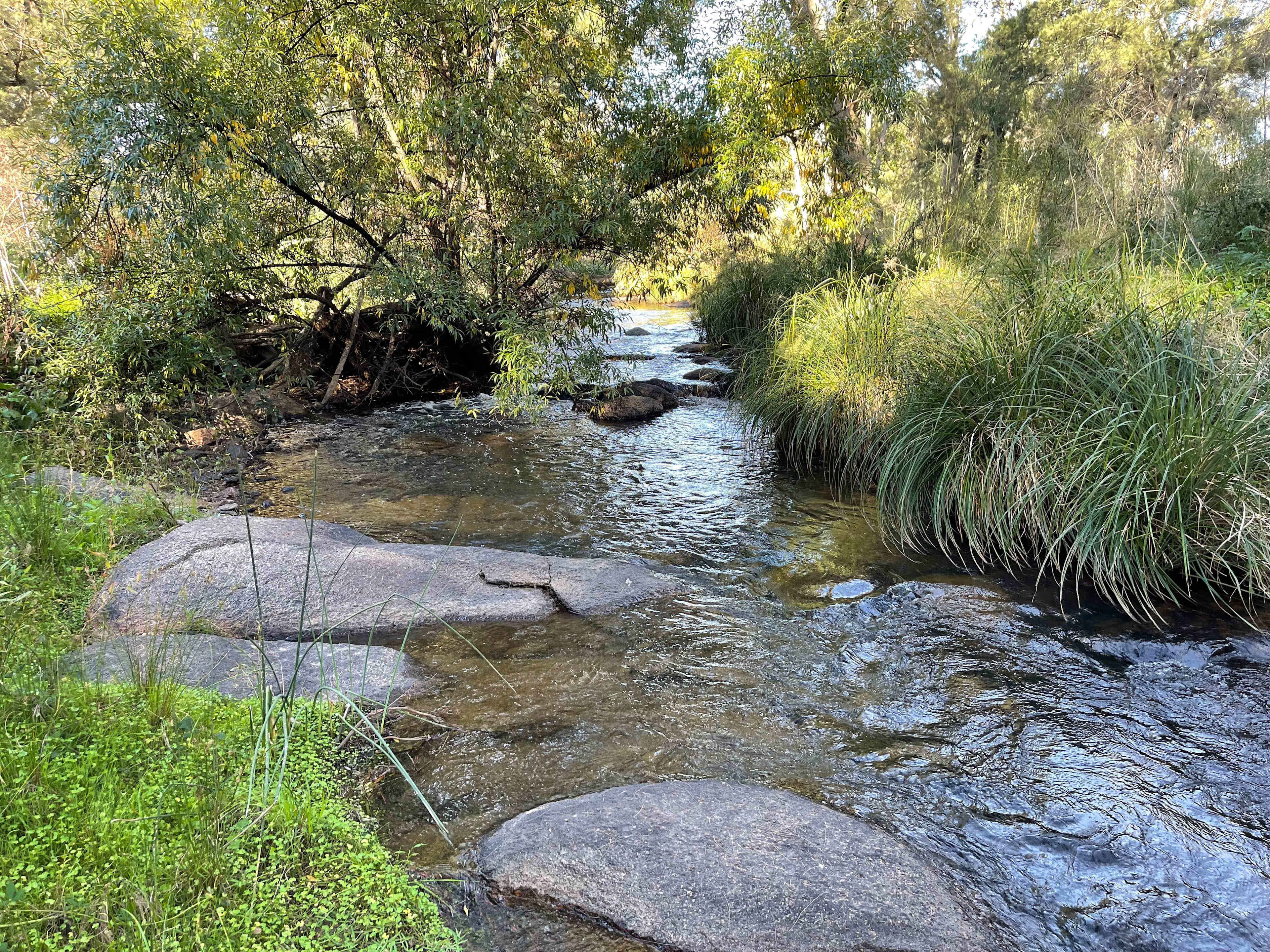 Fish River