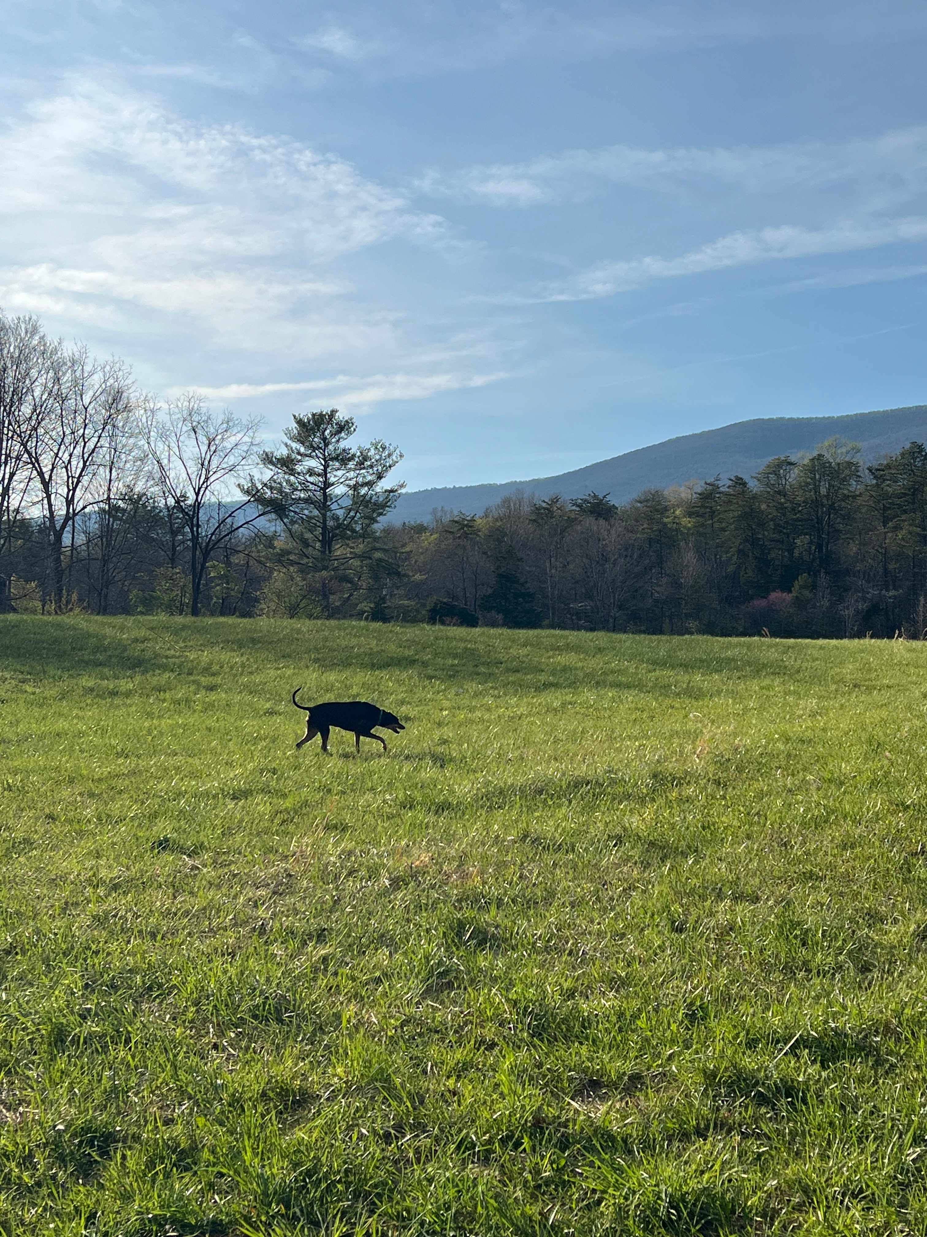 Savage Acres on Craig Creek