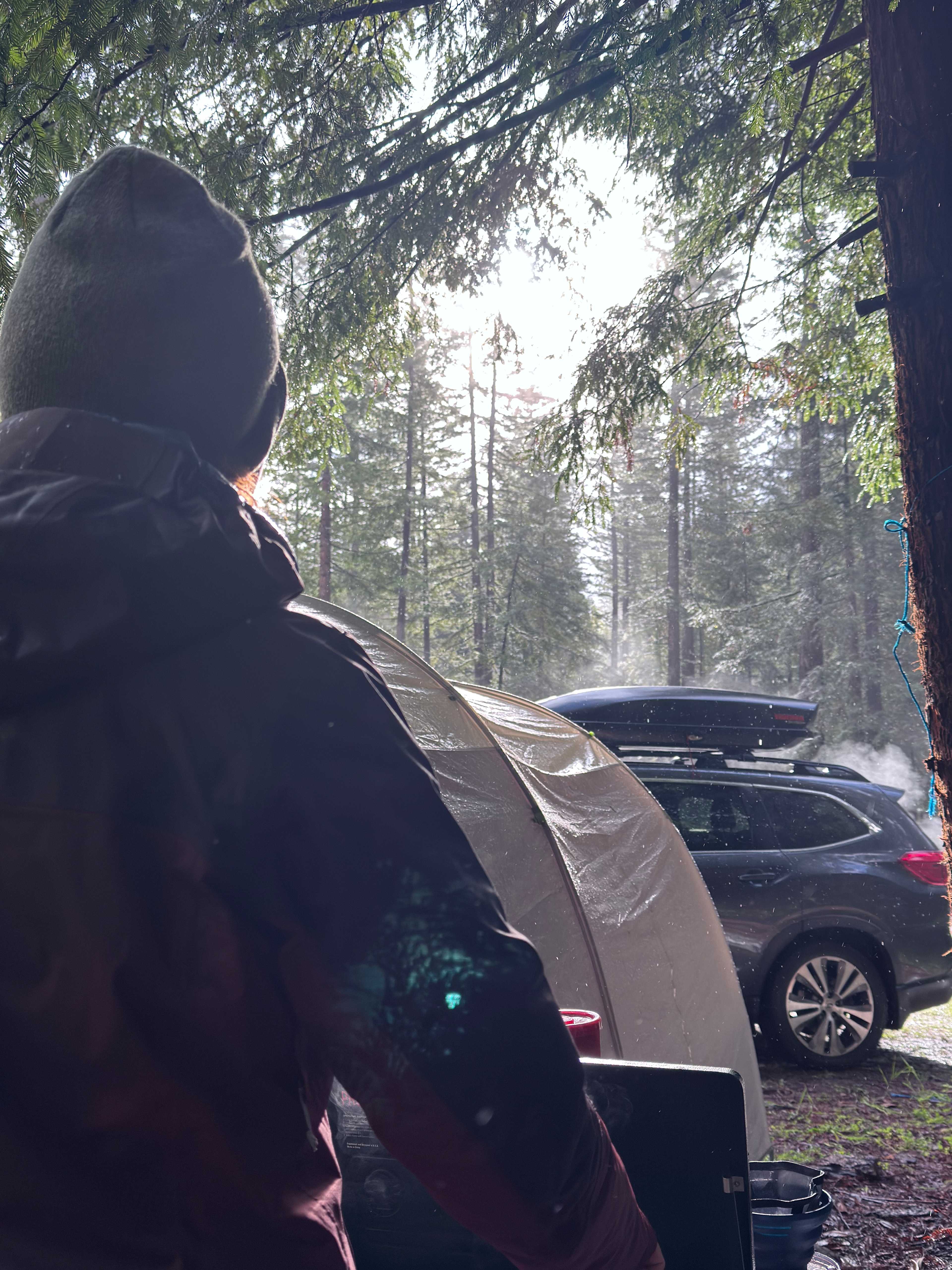 BANKS RANCH IN THE REDWOODS