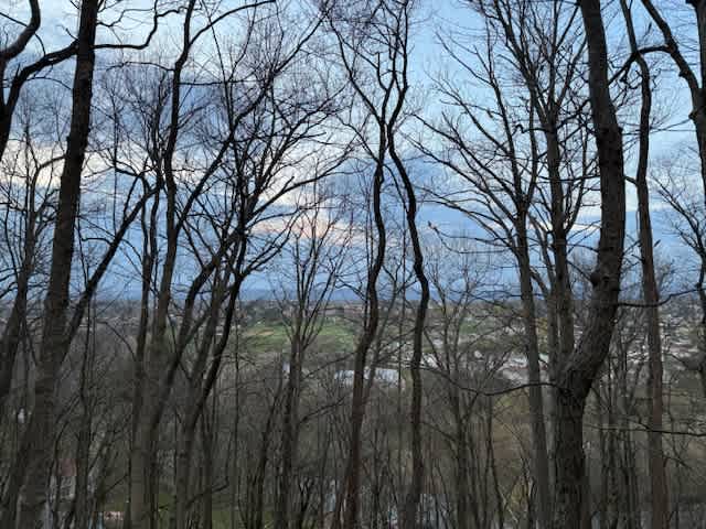 View from the lookout (short walk from site)