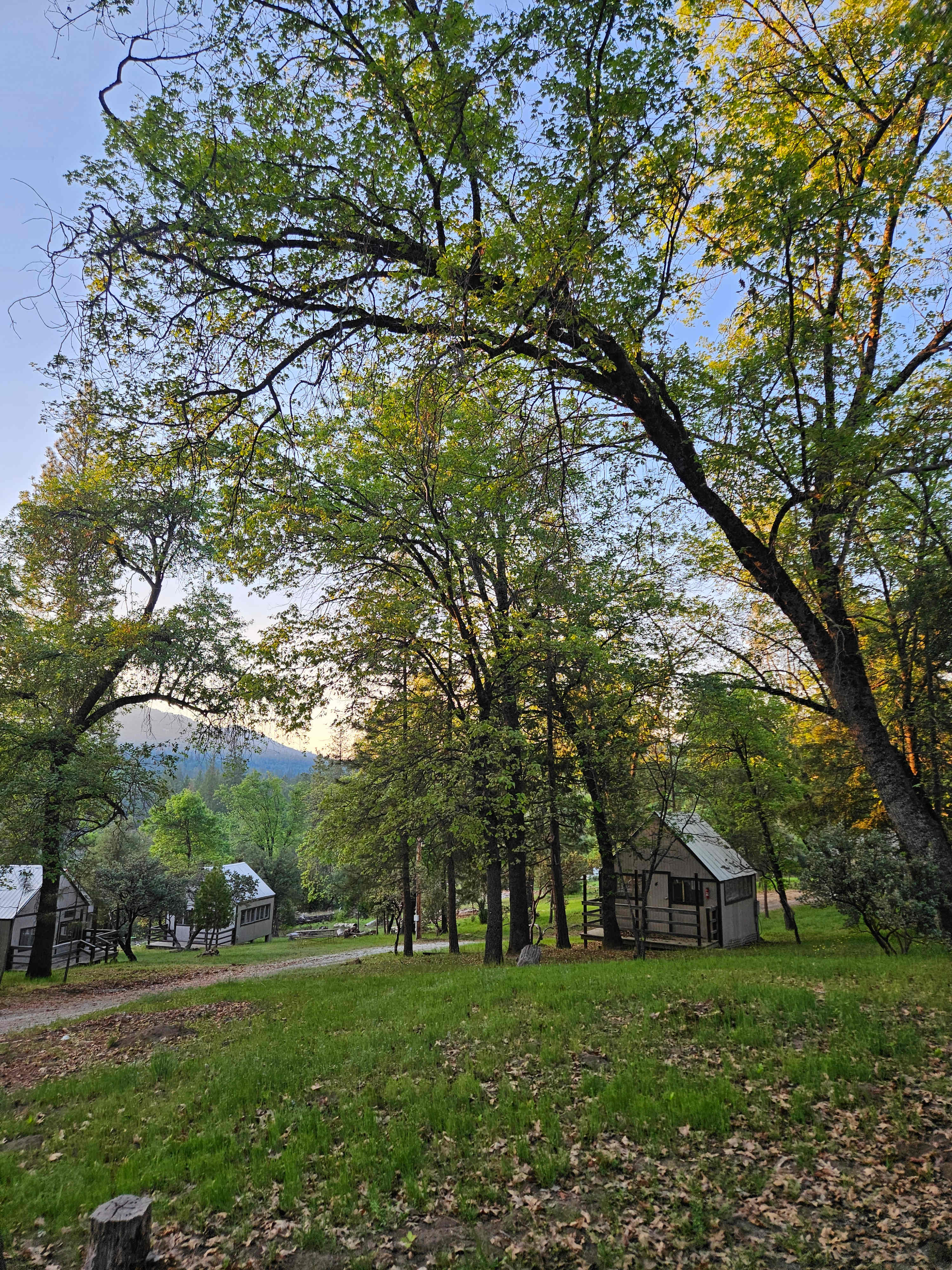 Cedar Springs Retreats