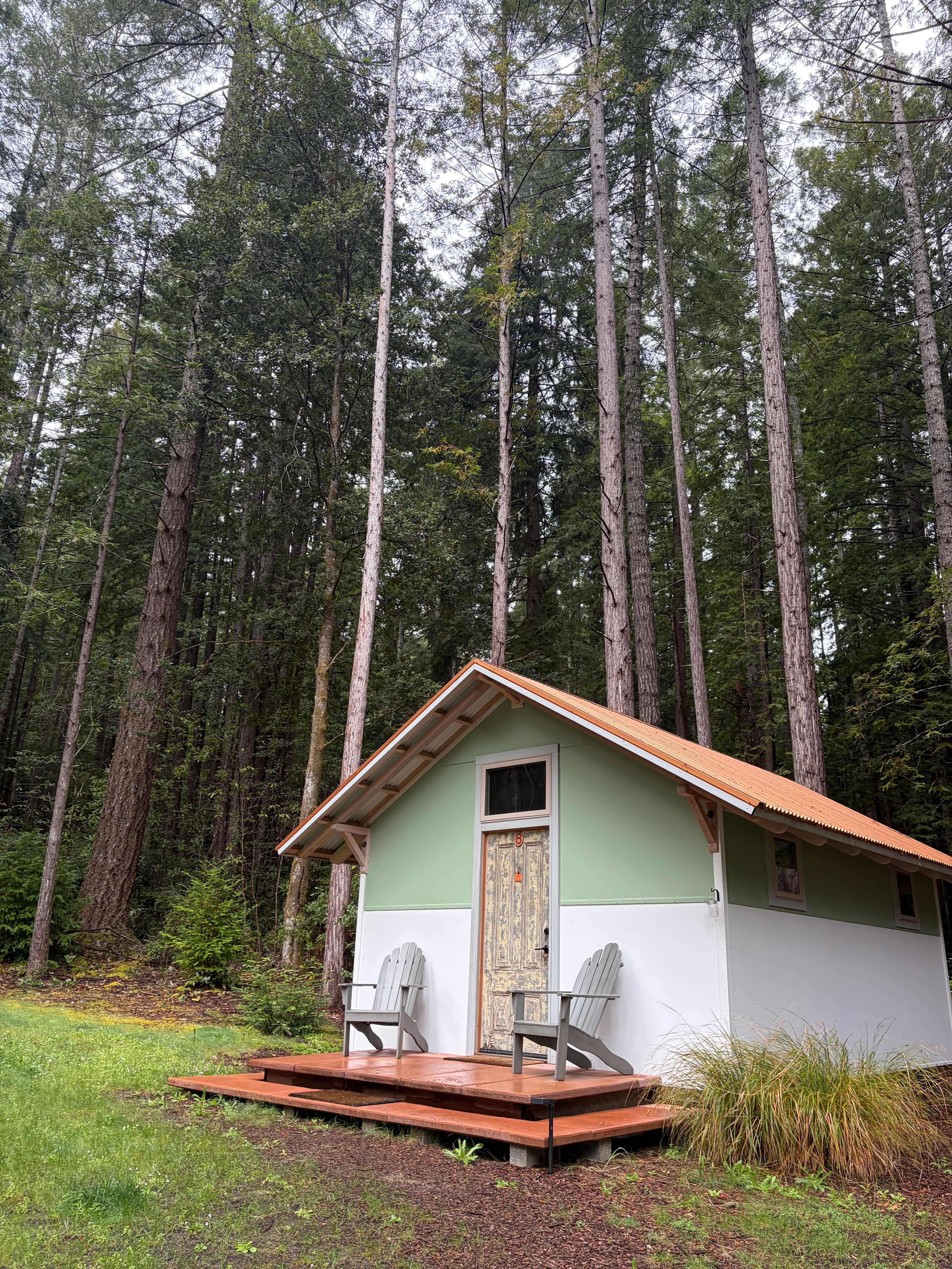 Site #8… so cozy and large!