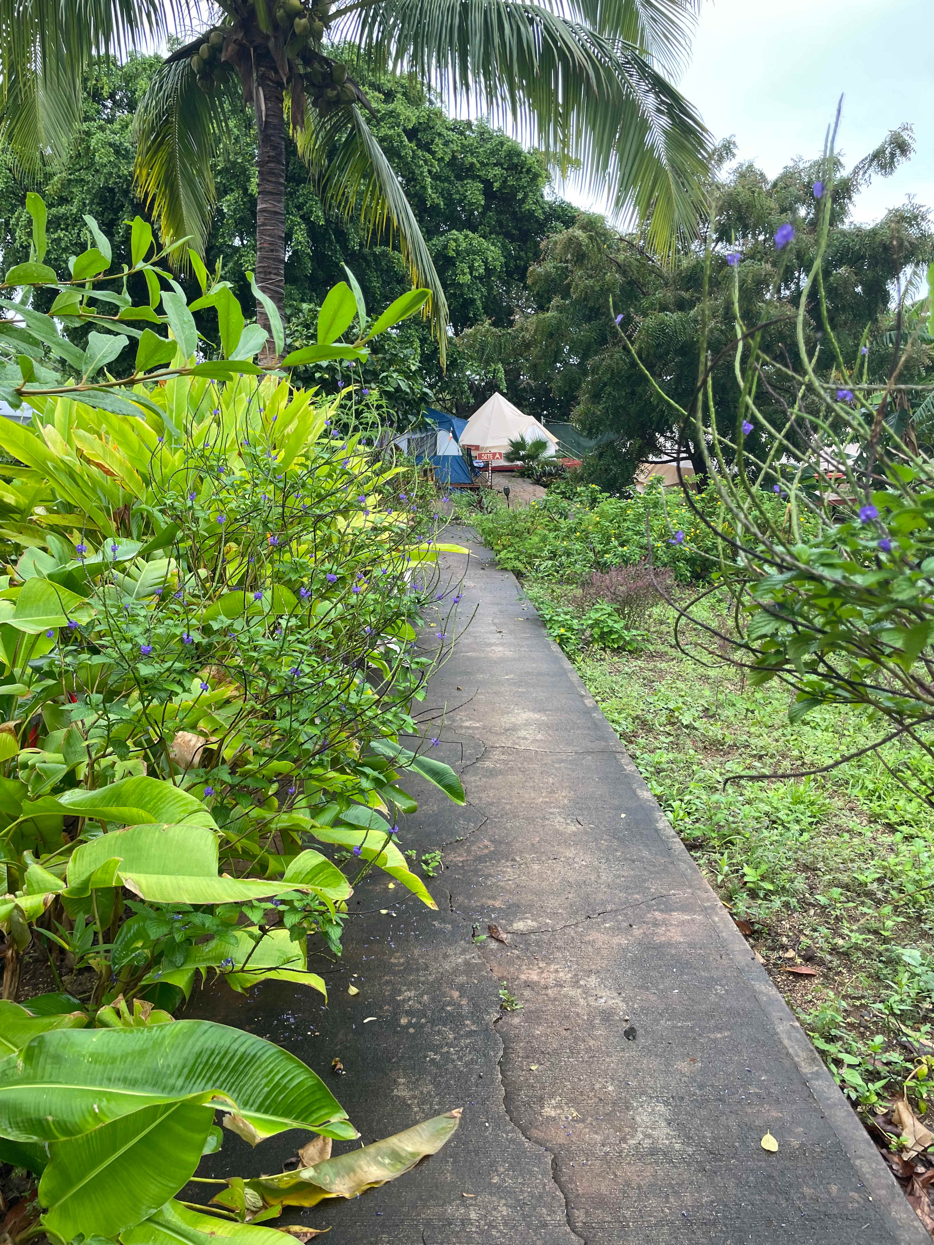 Sun Farm Hawaii @ Koko Head