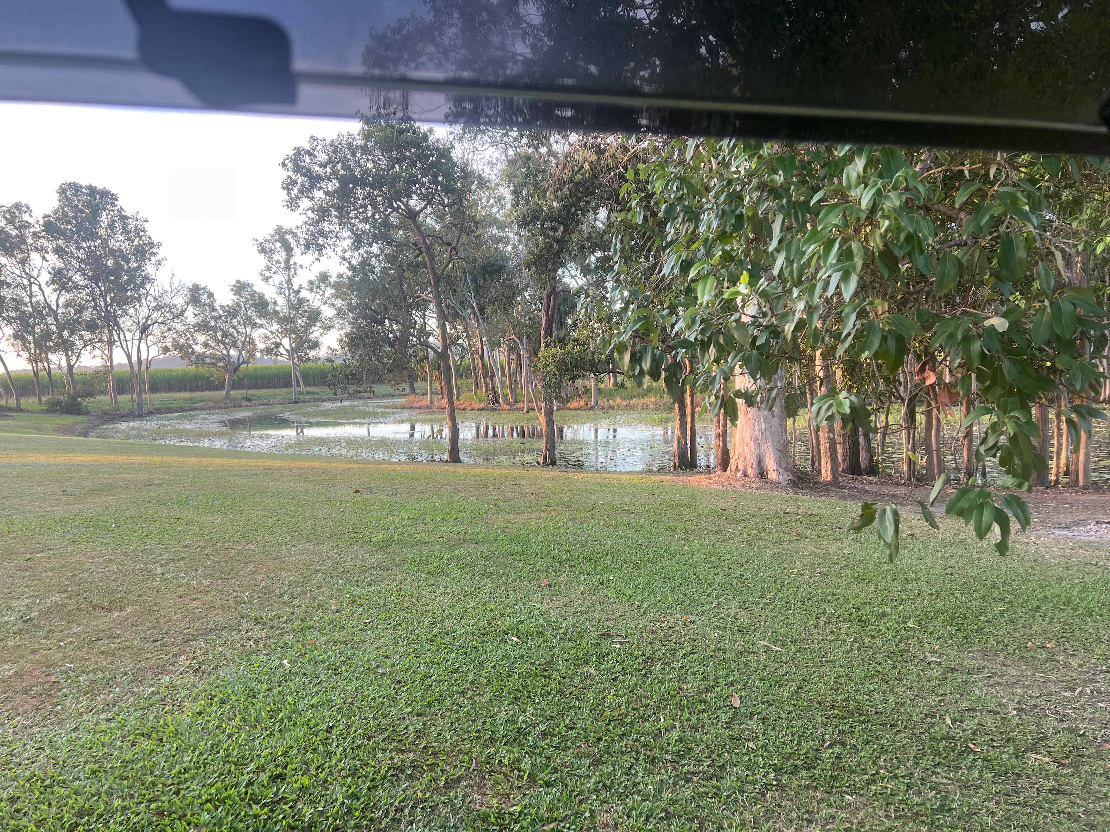 View from my bed. Site 12