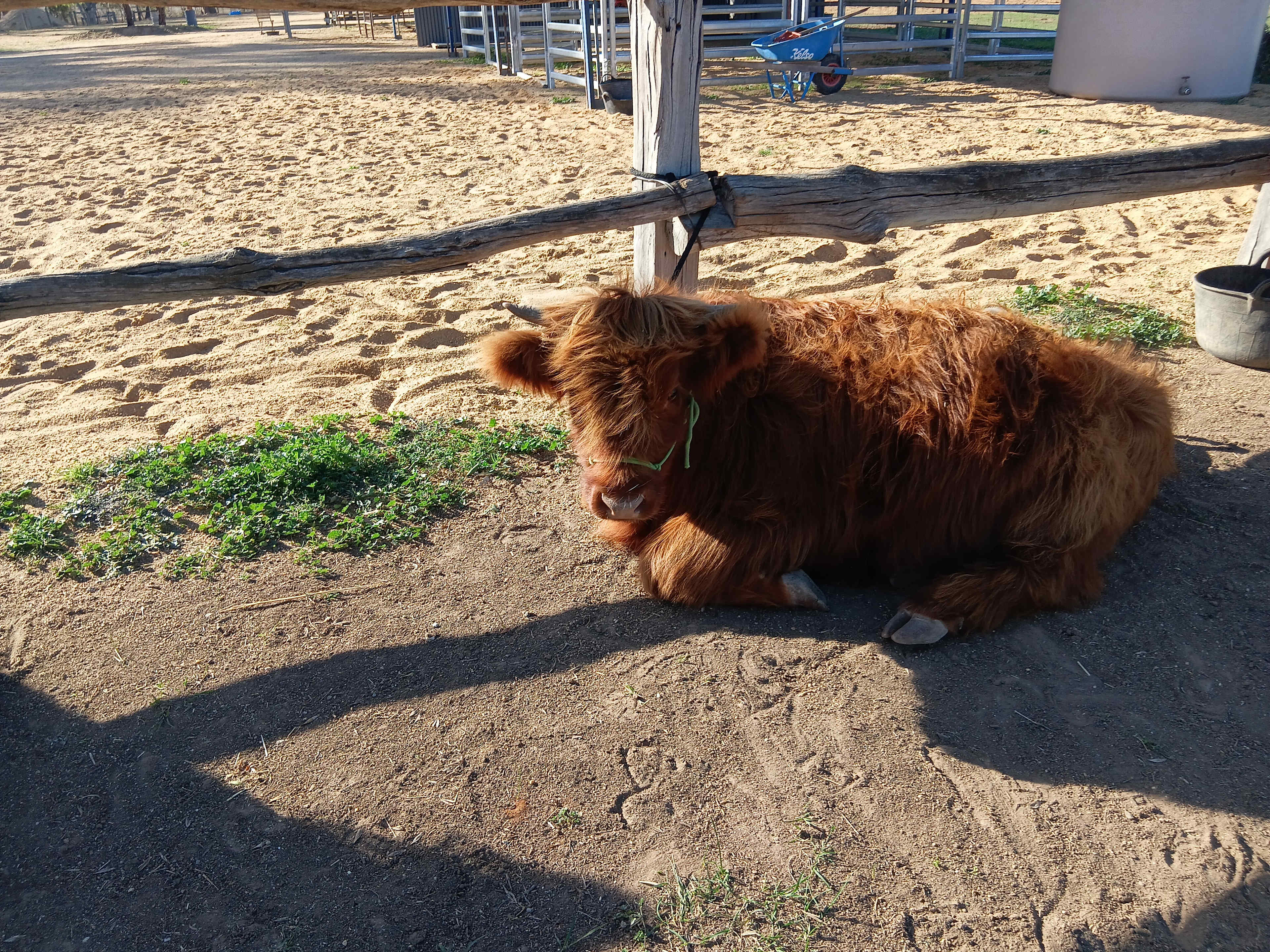 Red Rock Farm