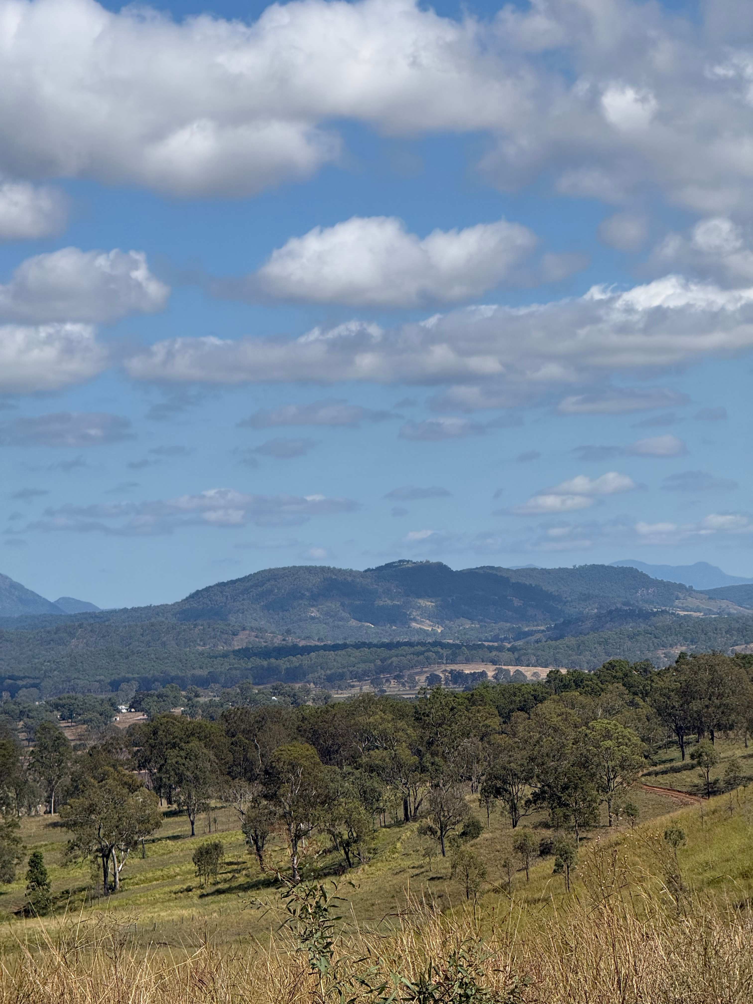 Larapinta