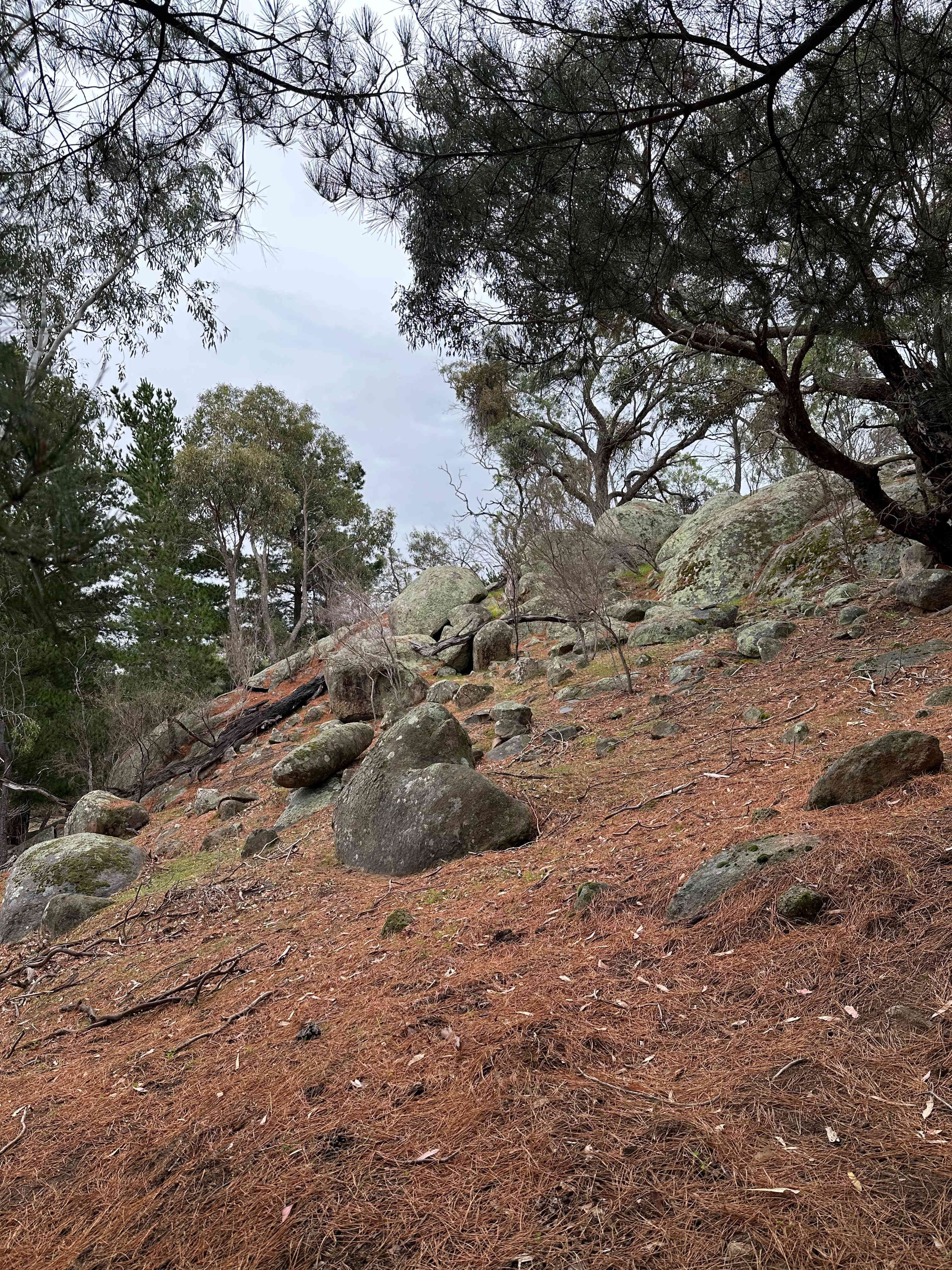 Exploring around the property. 