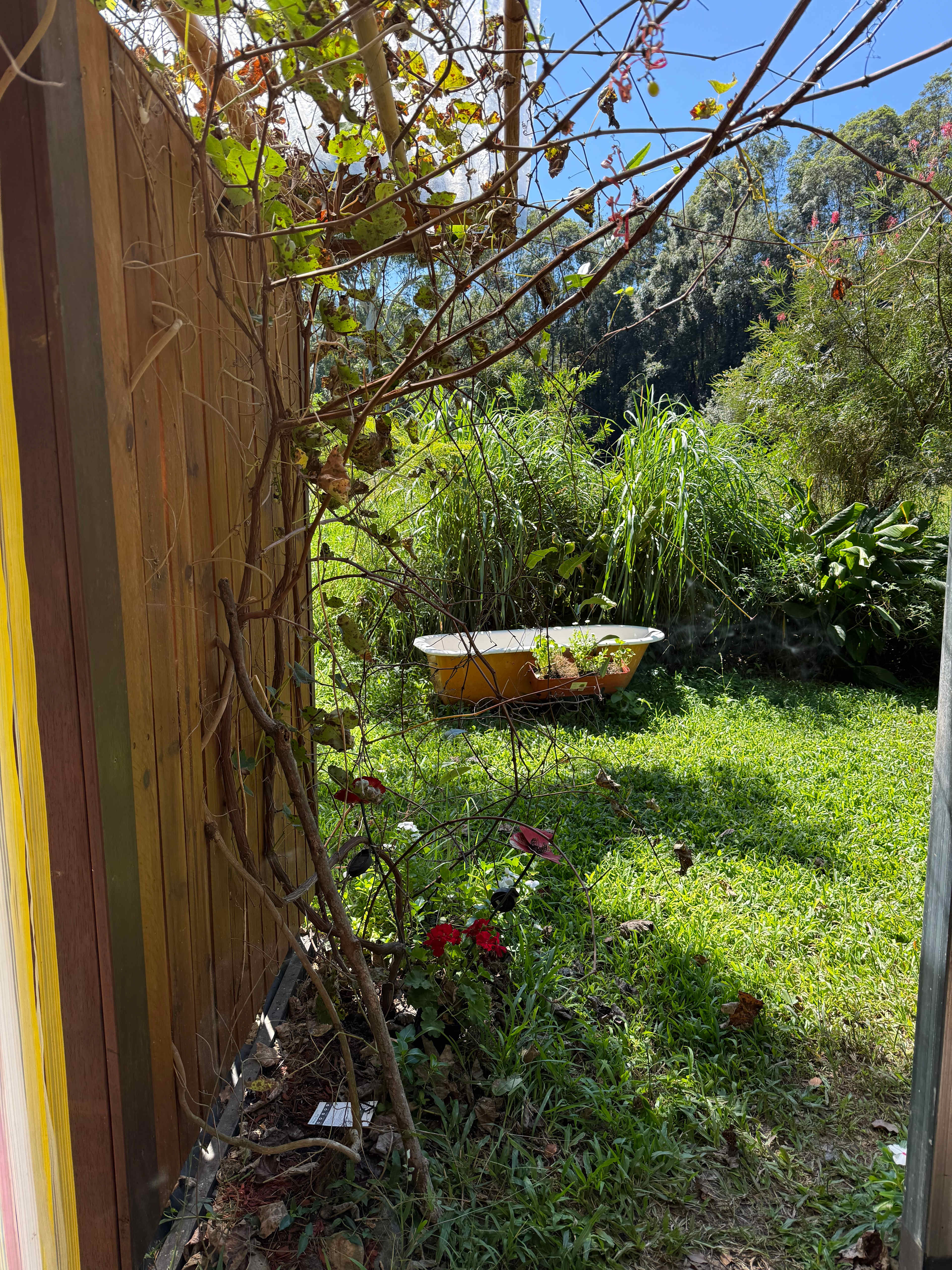 Crystal Creek Rainforest Treehouse