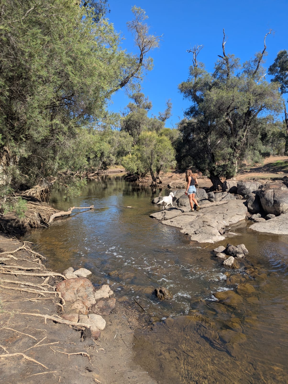 Murray Valley Camping