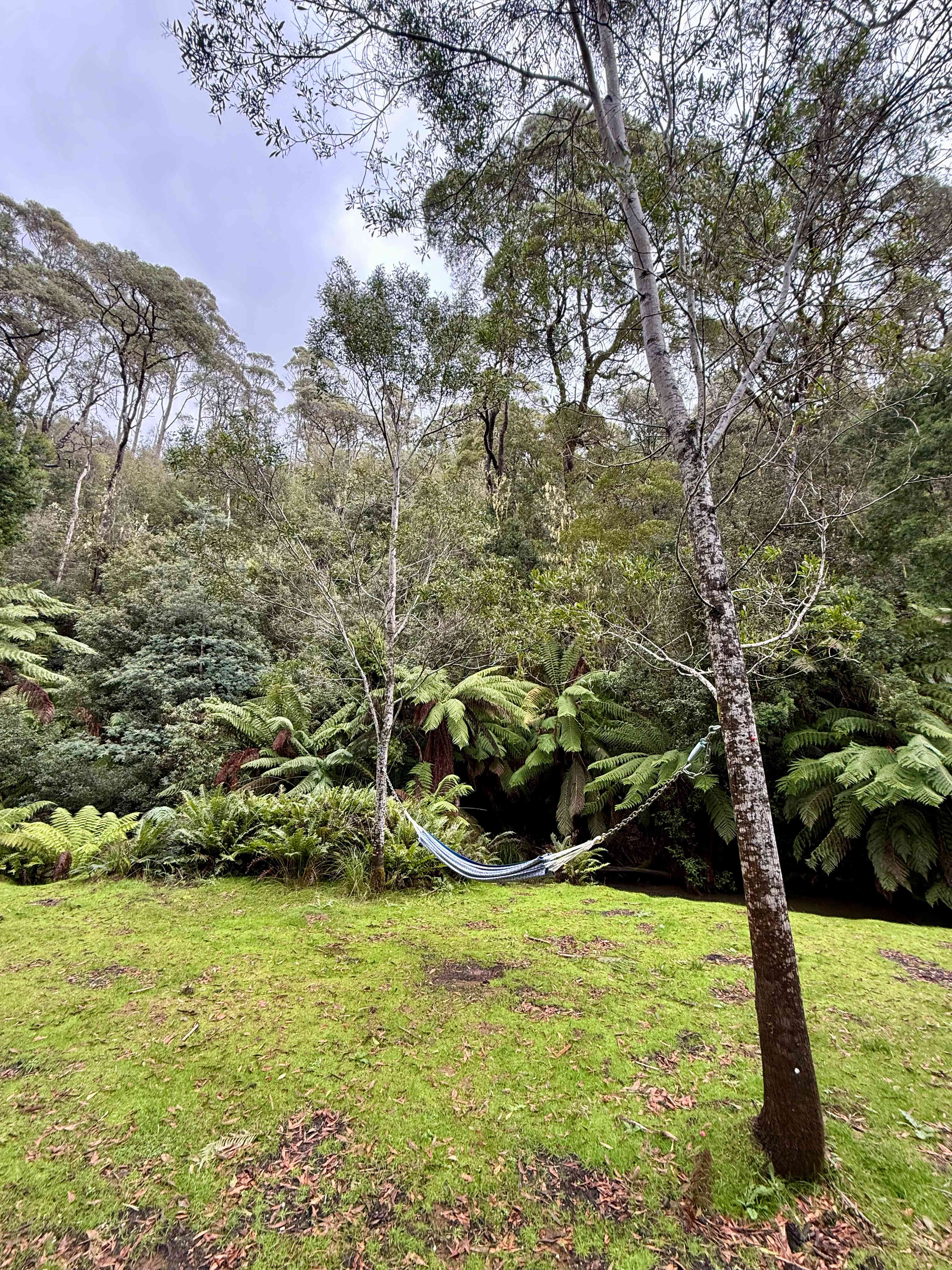 Inviting hammock at camp site 4