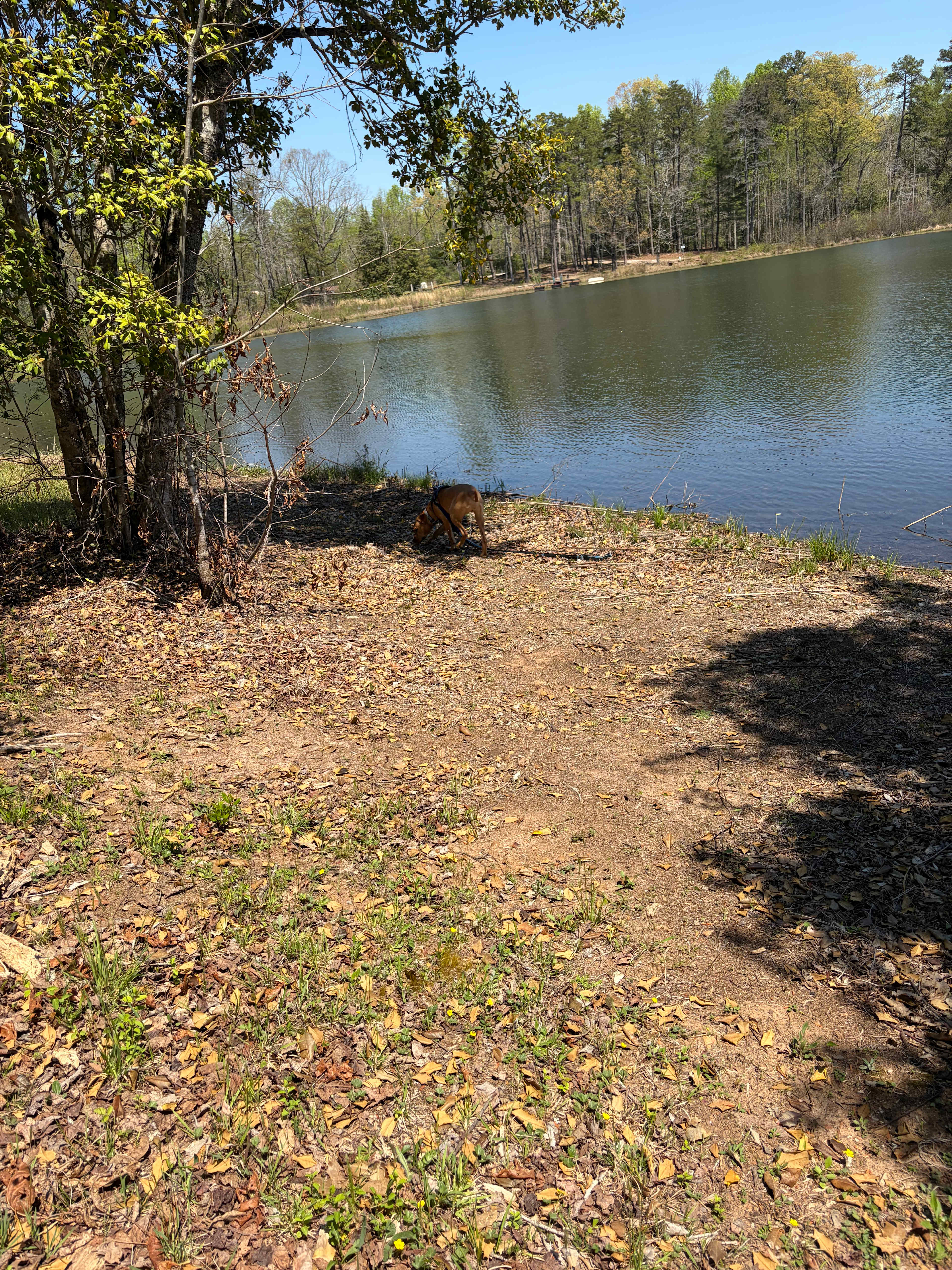 Chattooga Belle Farm Lakeside